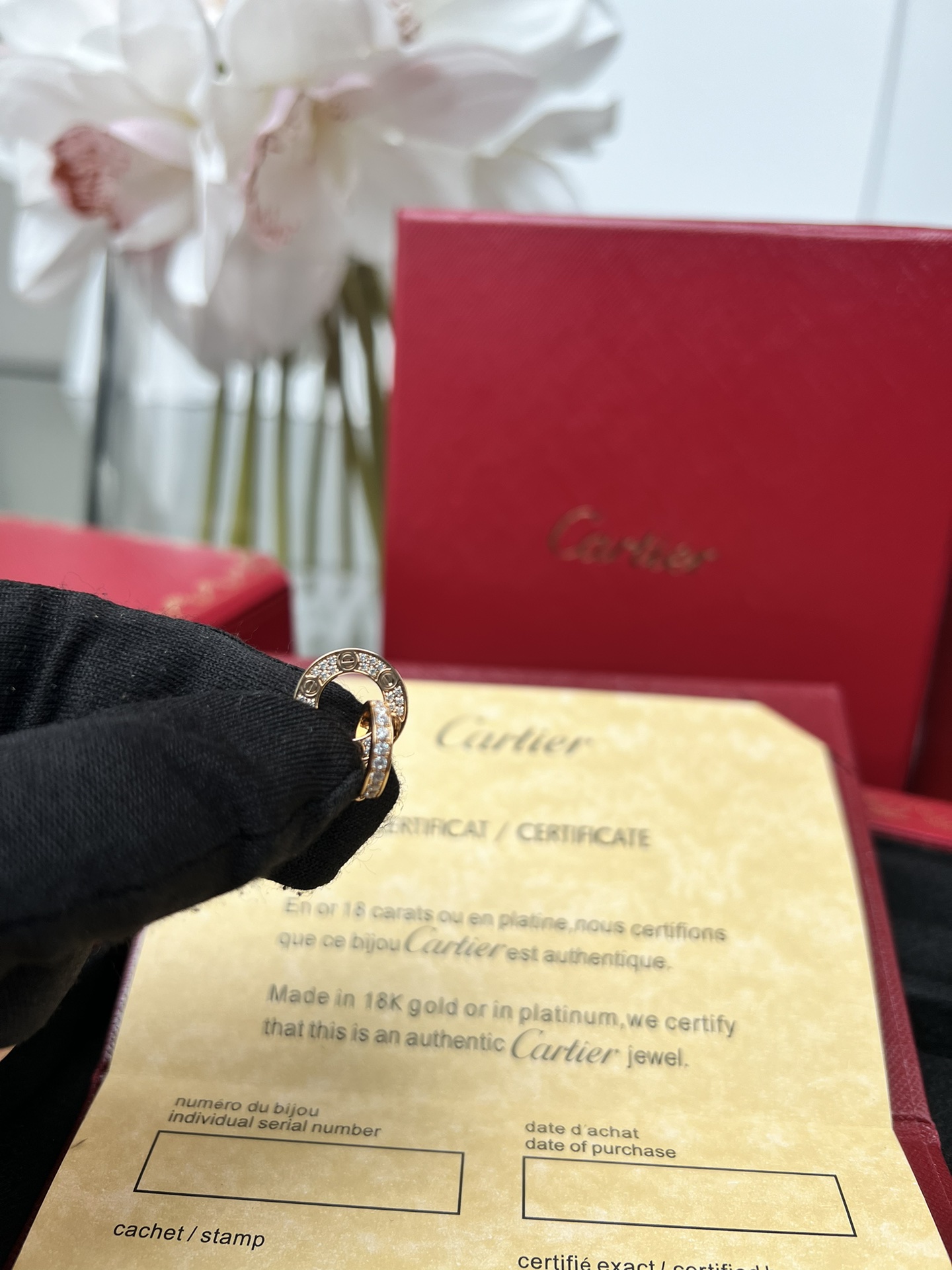 Cartier full of diamonds necklace