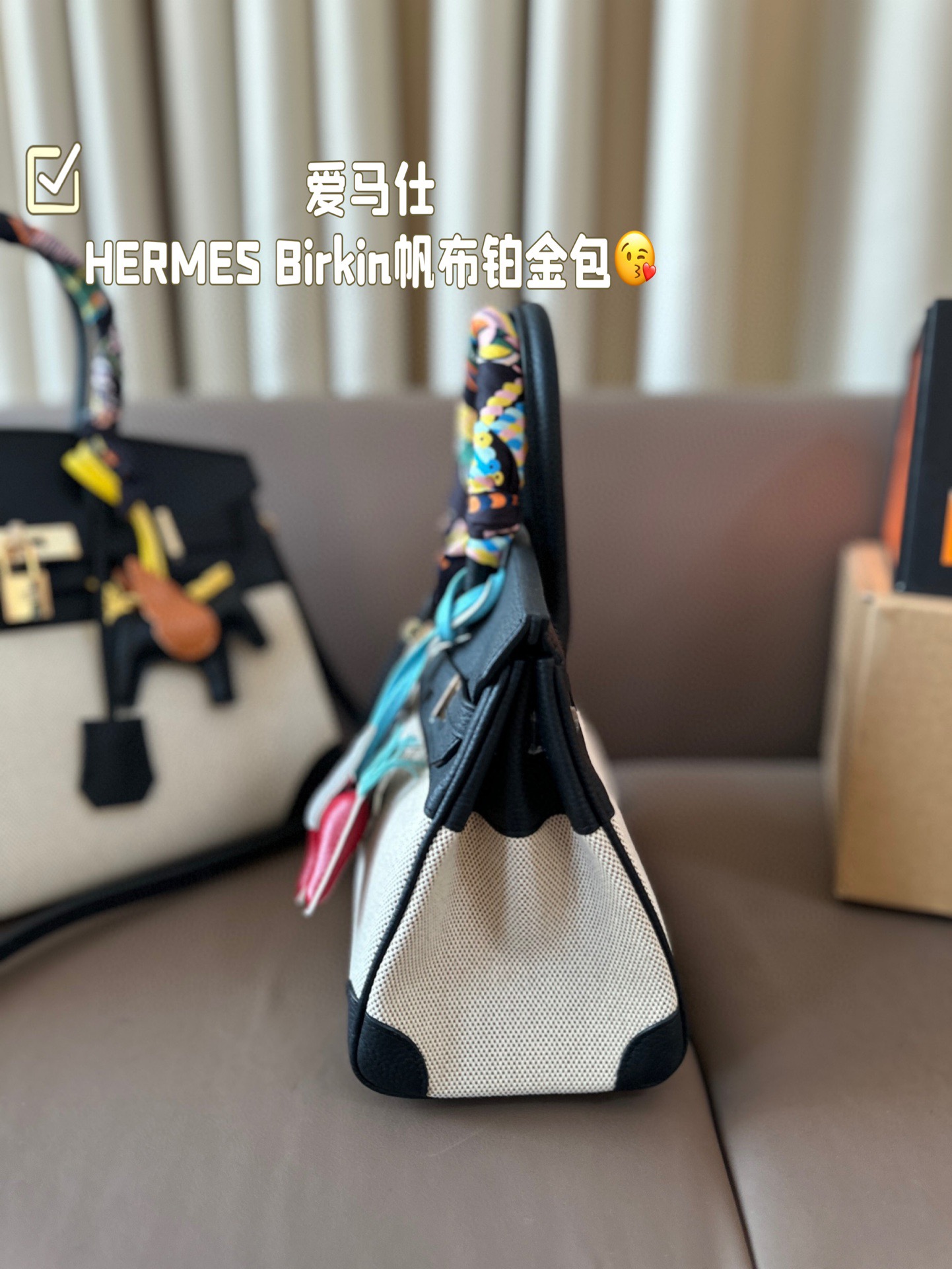 HERMES Birkin Canvas platinum bag