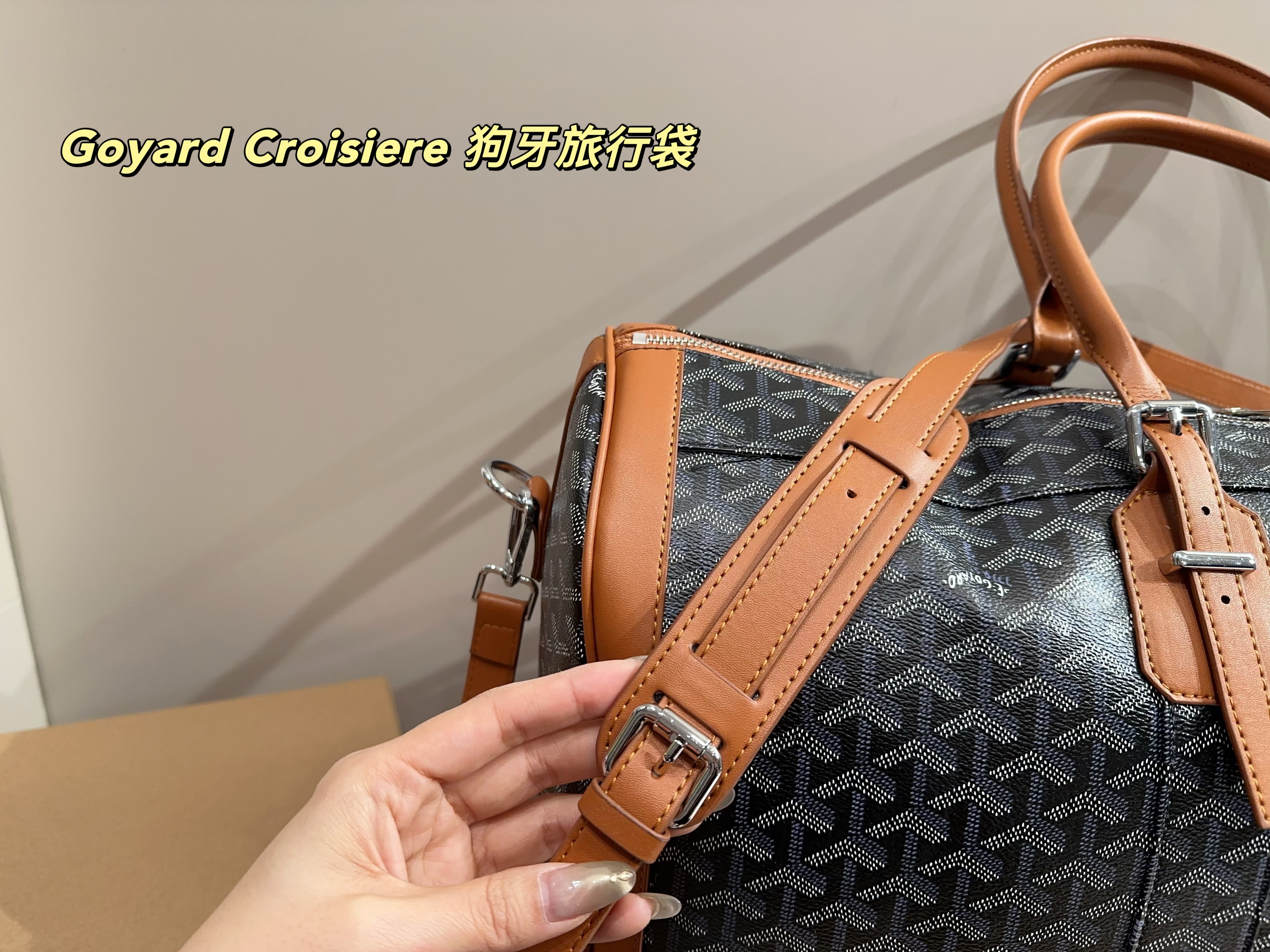 Goyard Croisiere  Travel Bag