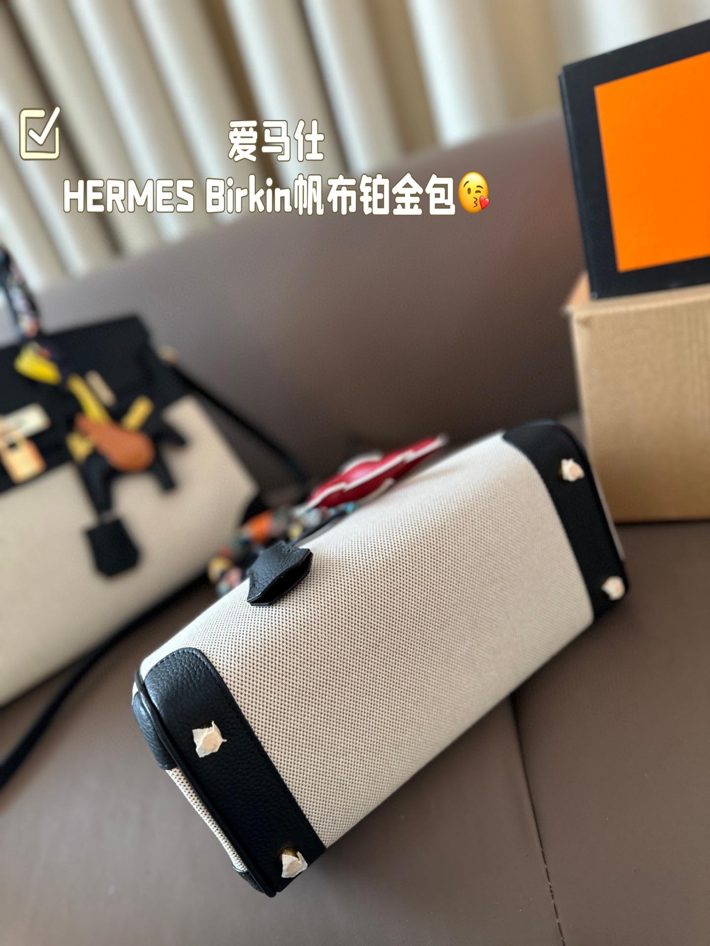 HERMES Birkin Canvas platinum bag