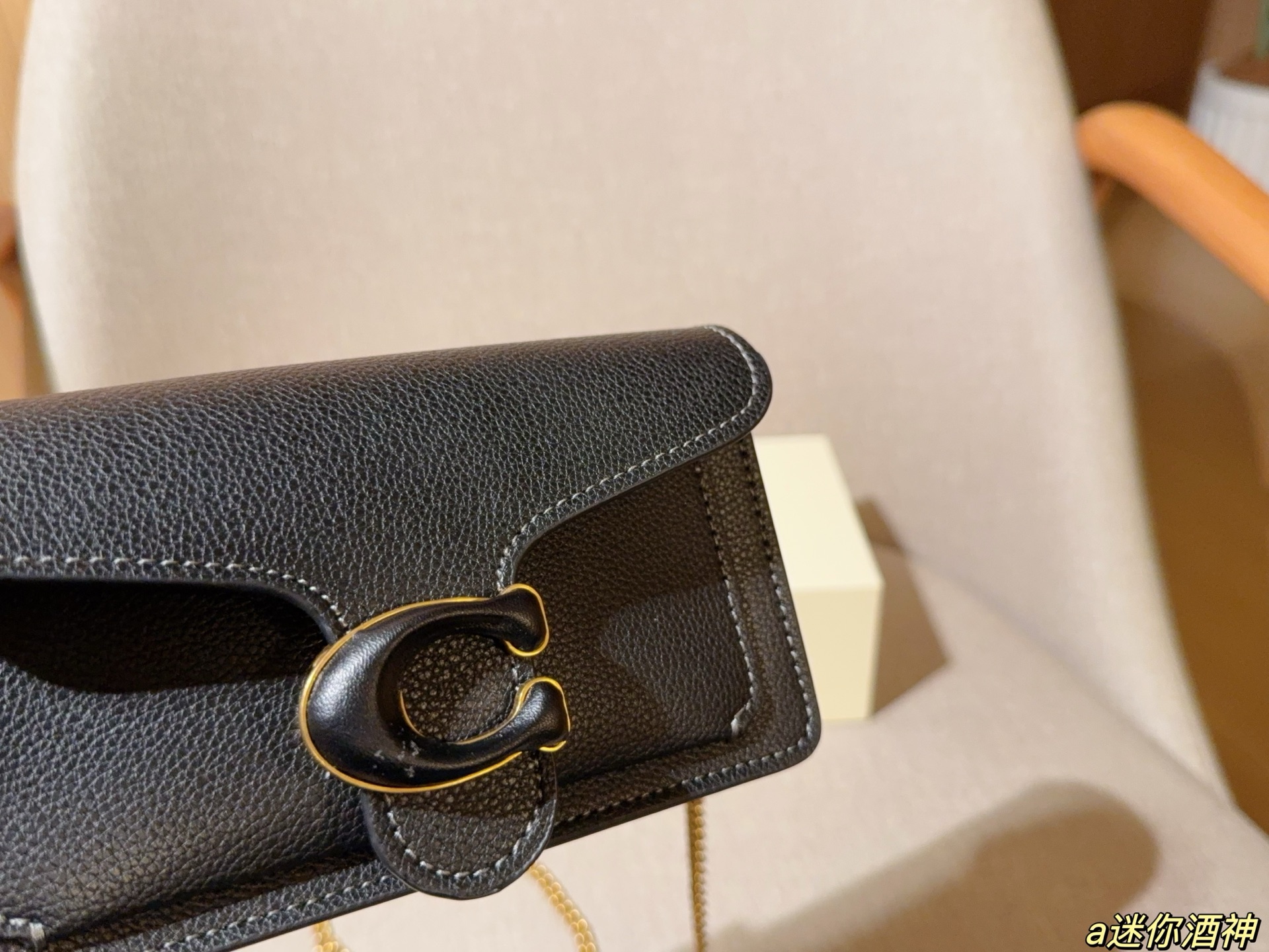 Coach Mini Tabby Chain Bag Dionysus Bag