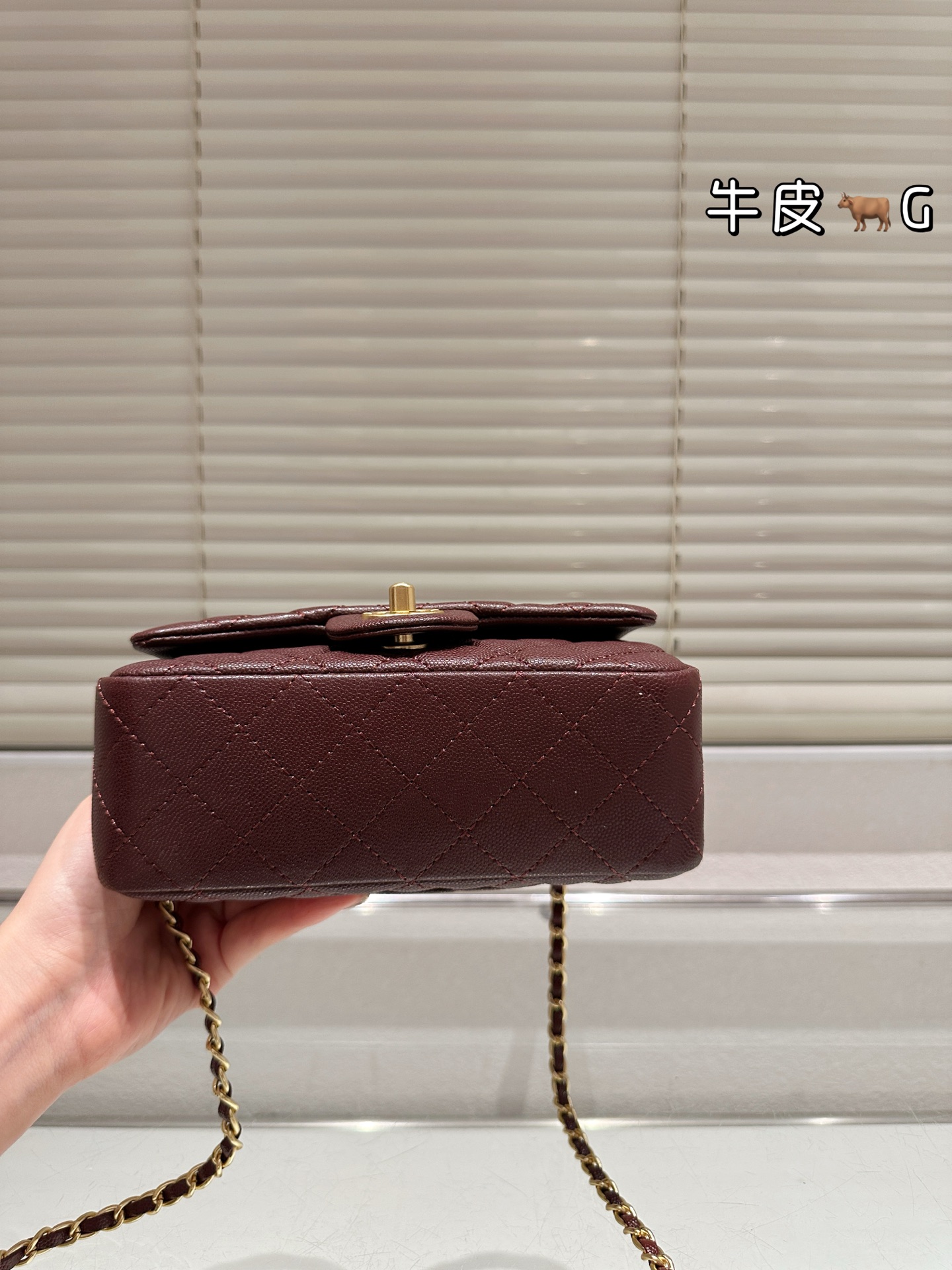 CHANEL 25b Double C Braided Handle CF Bag