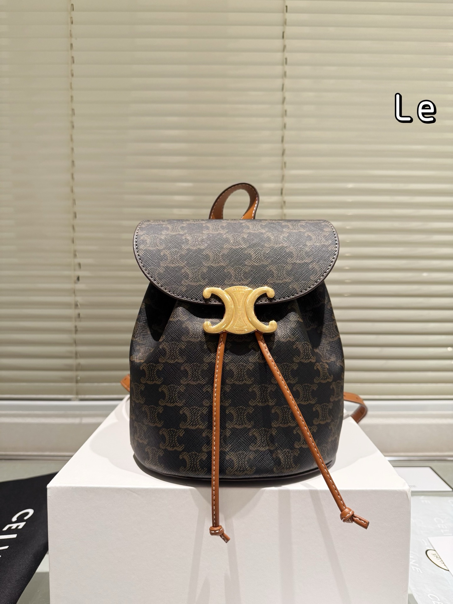 New Celine reading backpack