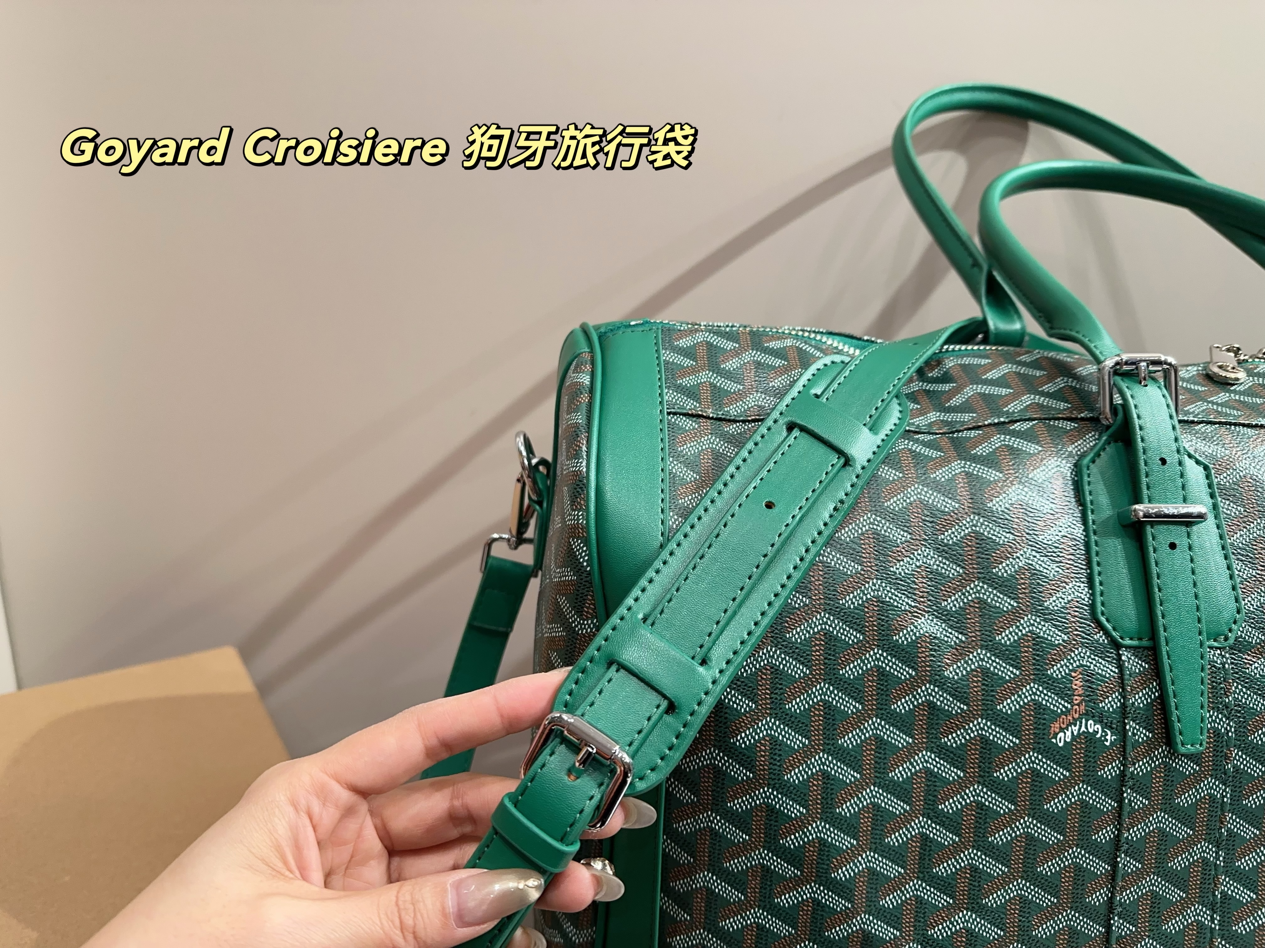 Goyard Croisiere  Travel Bag