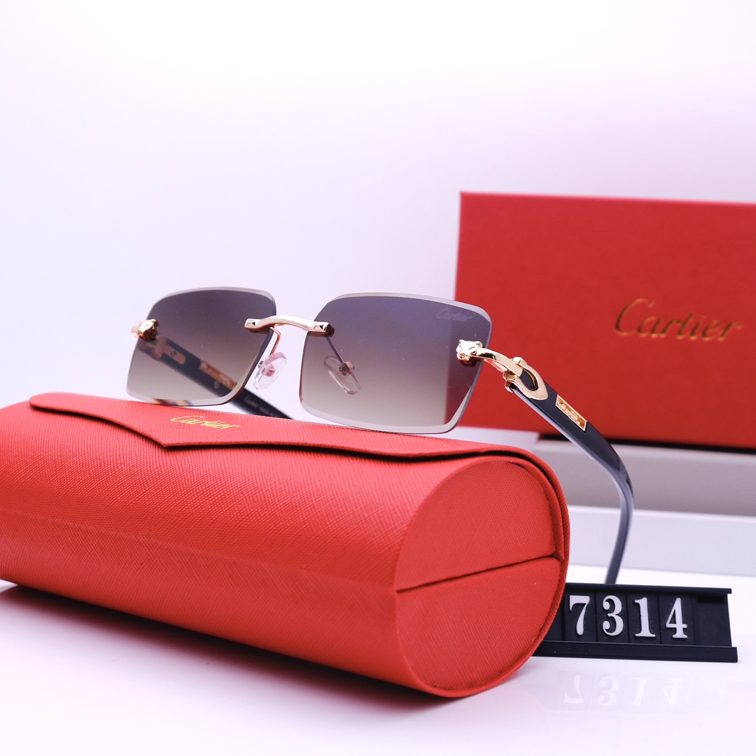 Cartier sunglasses