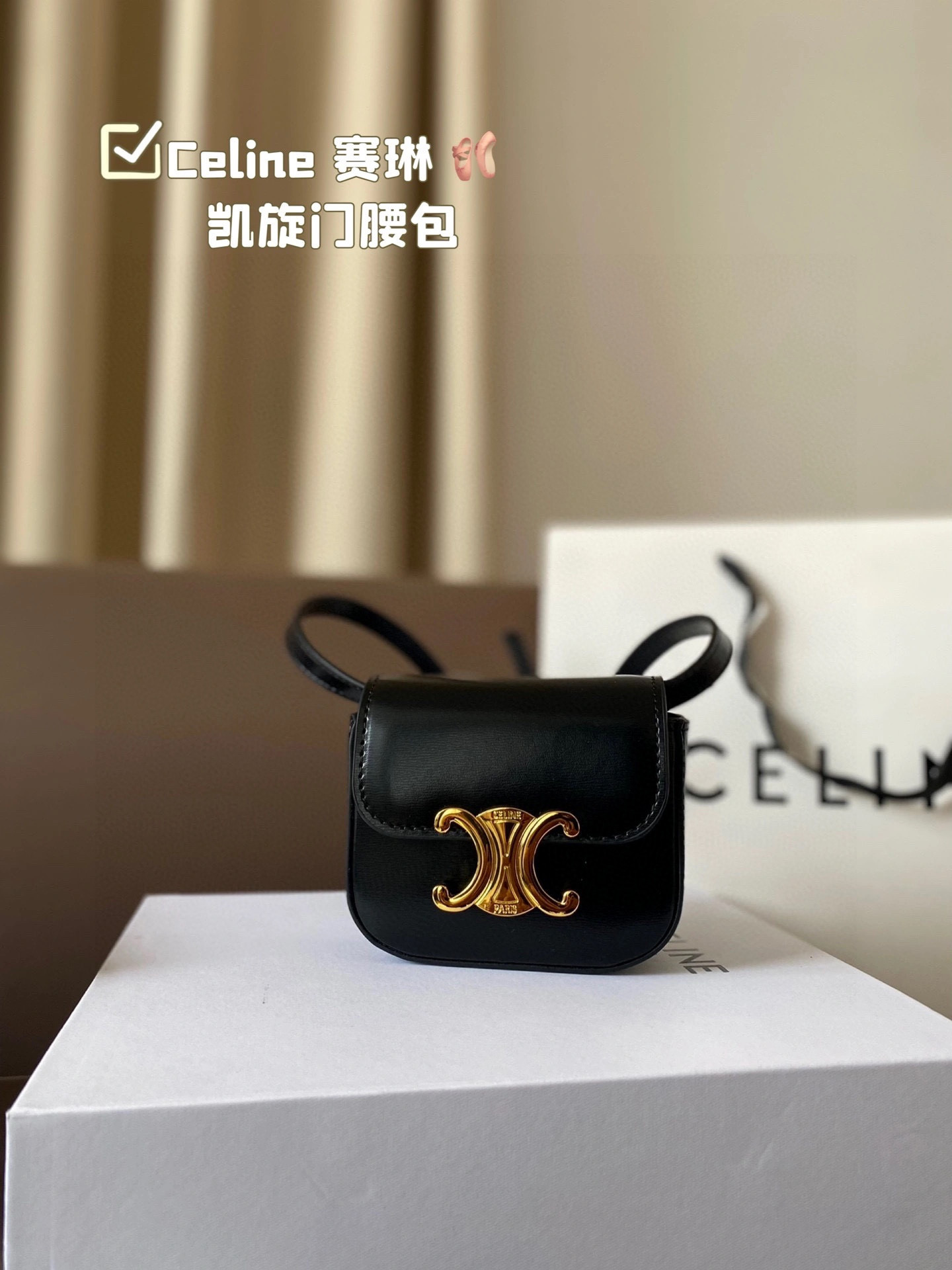 Celine Waist Bag
