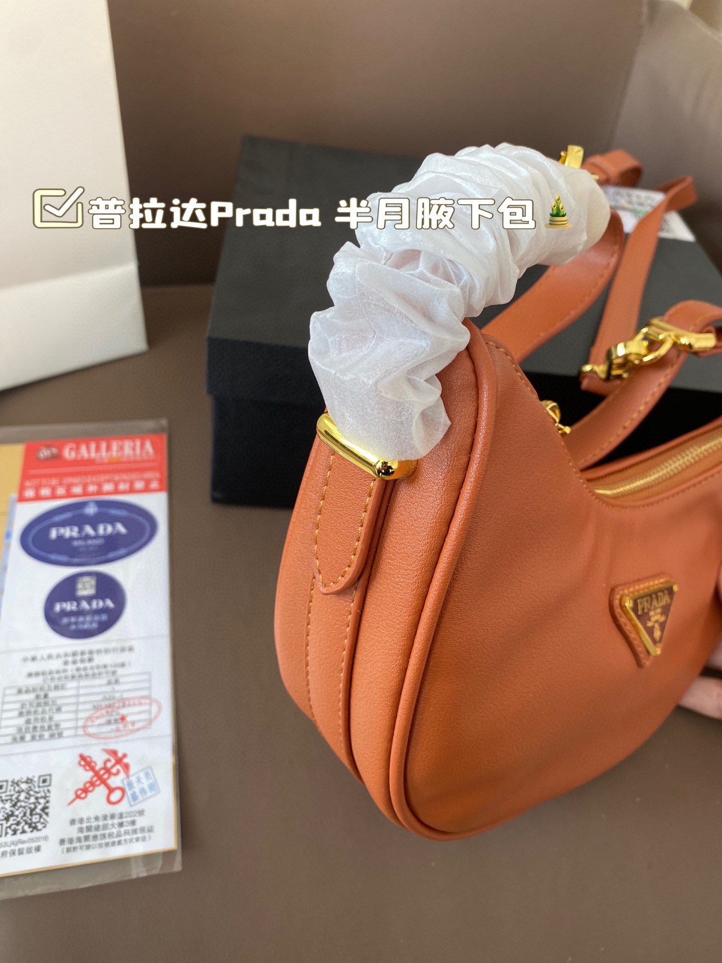 Prada Half Moon armpit Crossbody Bag