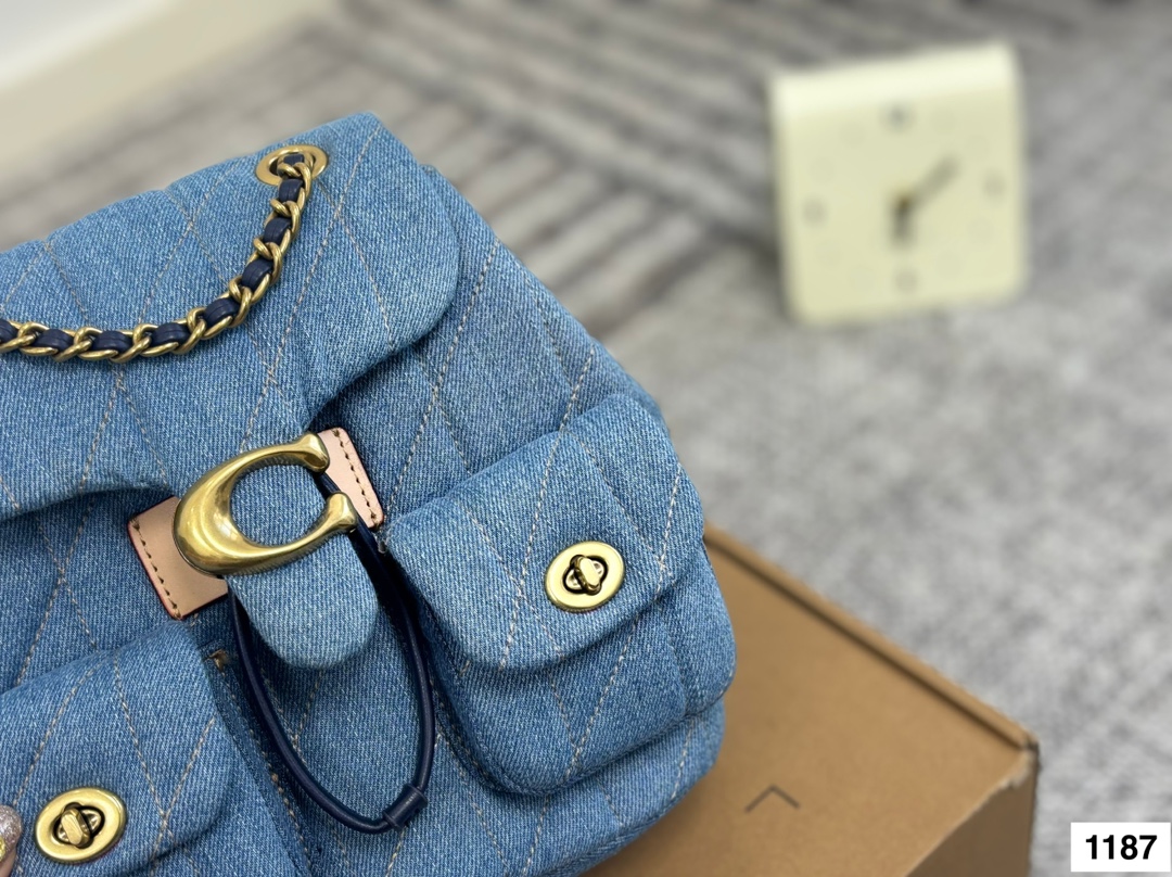 Coach backpack shoulder bag