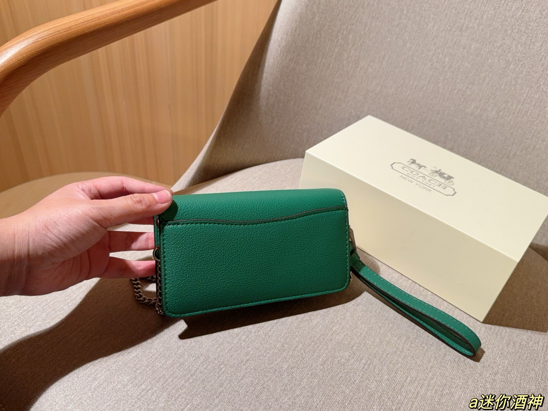 Coach Mini Tabby Chain Bag Dionysus Bag