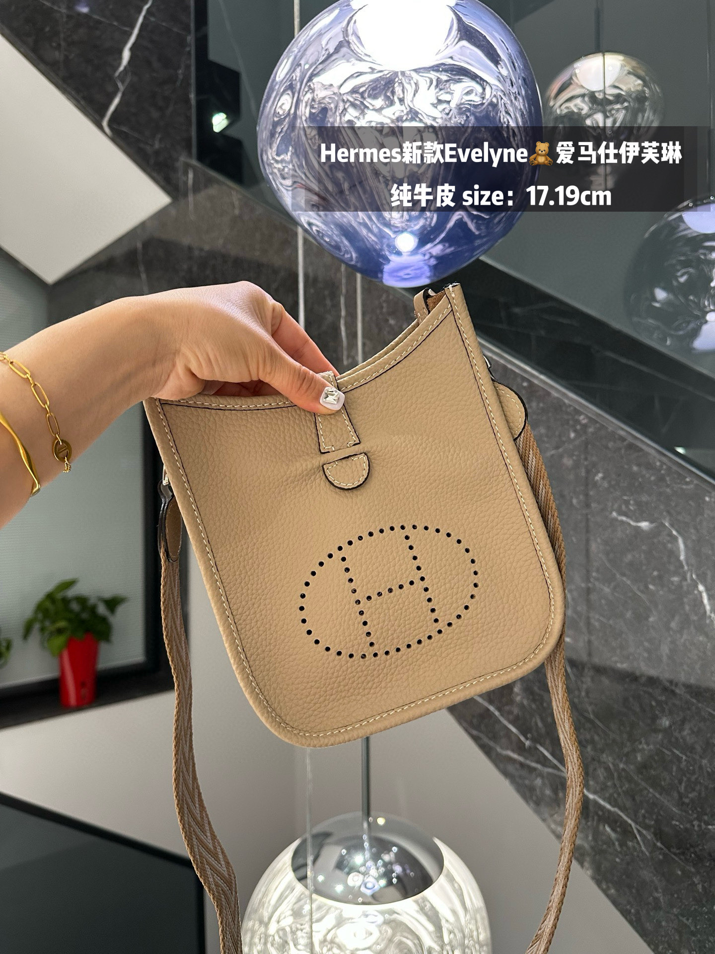 Hermes Evelyn bag