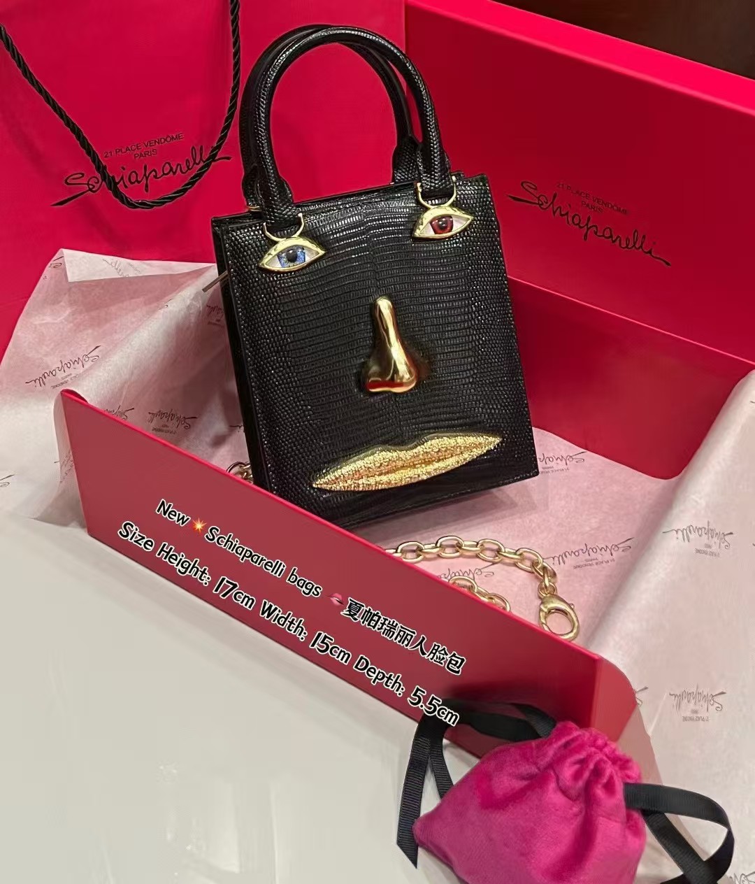 New Schiaparelli bags Classic Handbags