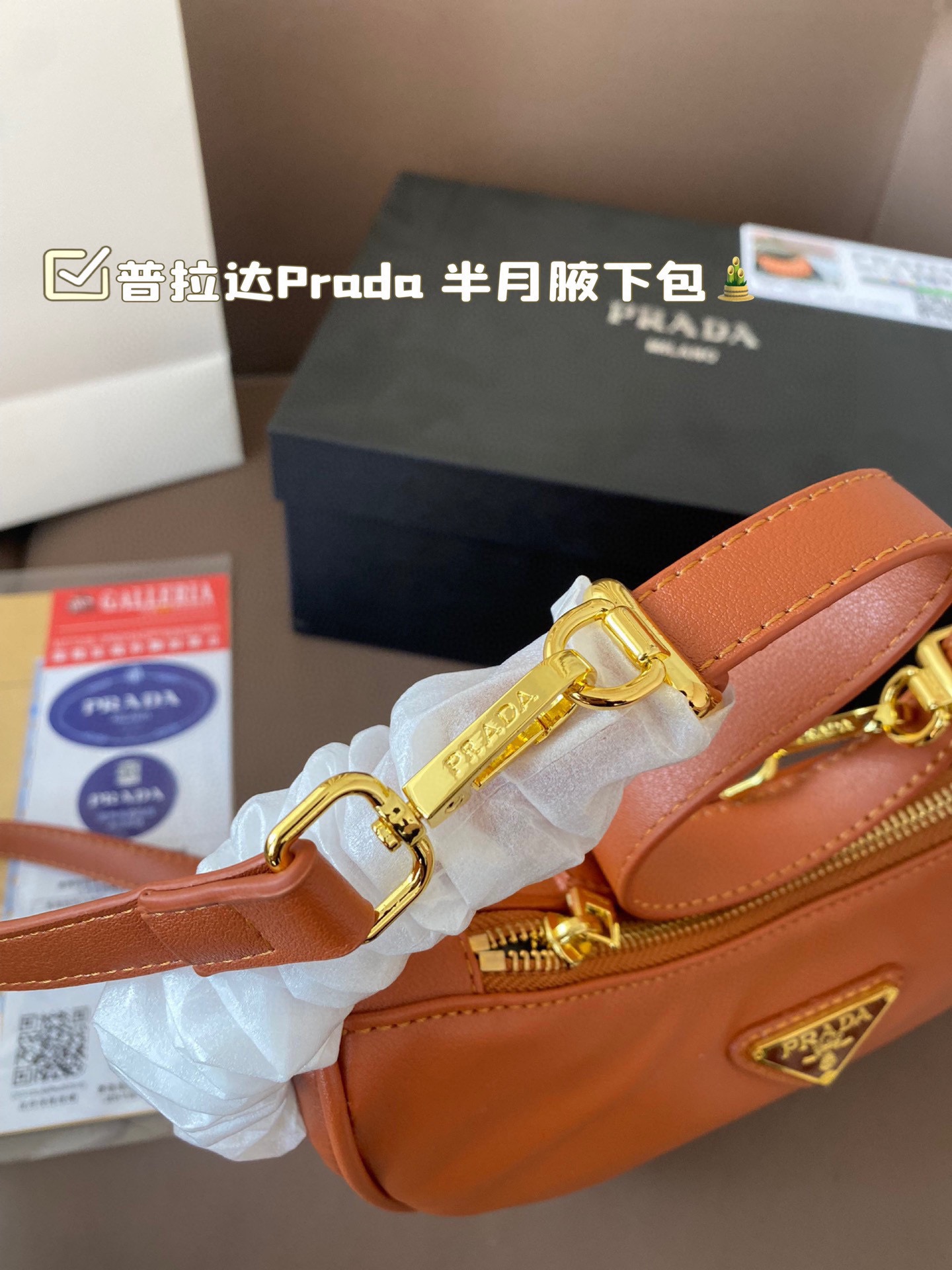 Prada Half Moon armpit Crossbody Bag