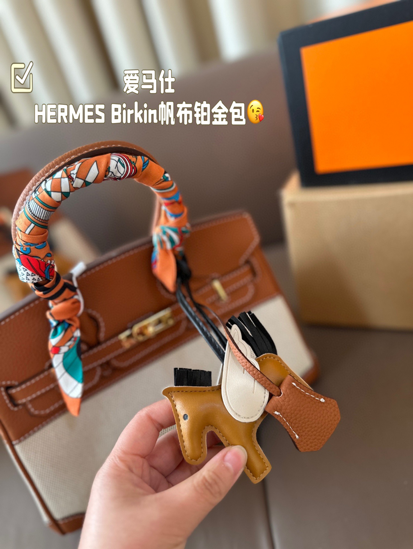 HERMES Birkin Canvas platinum bag