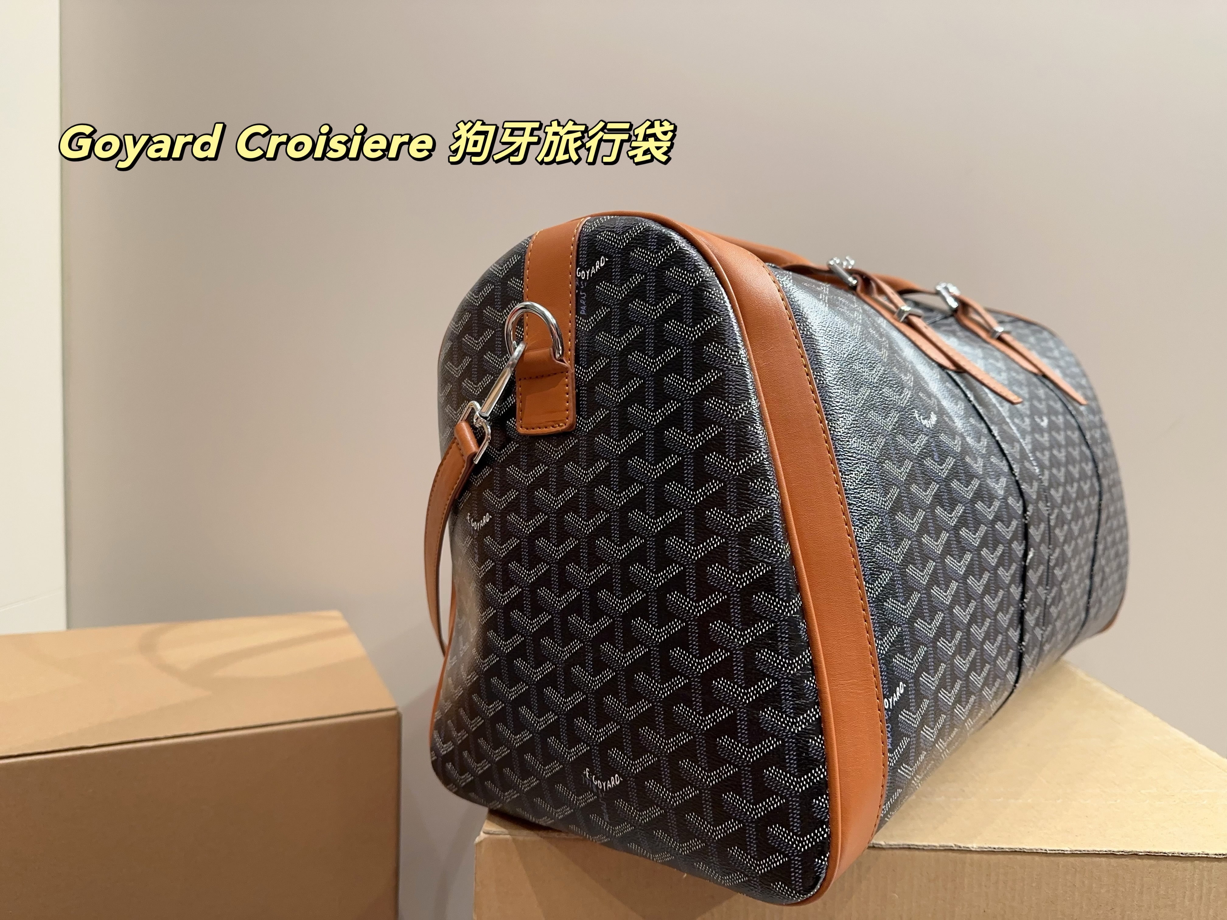 Goyard Croisiere  Travel Bag