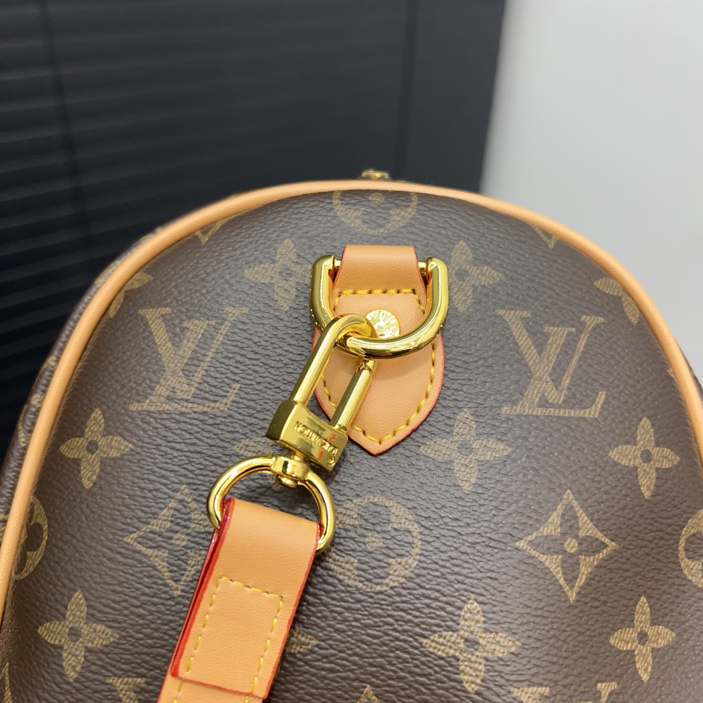 LV Louis Vuitton Speedy 40 Travel Bag Pillow Case shoulder bag