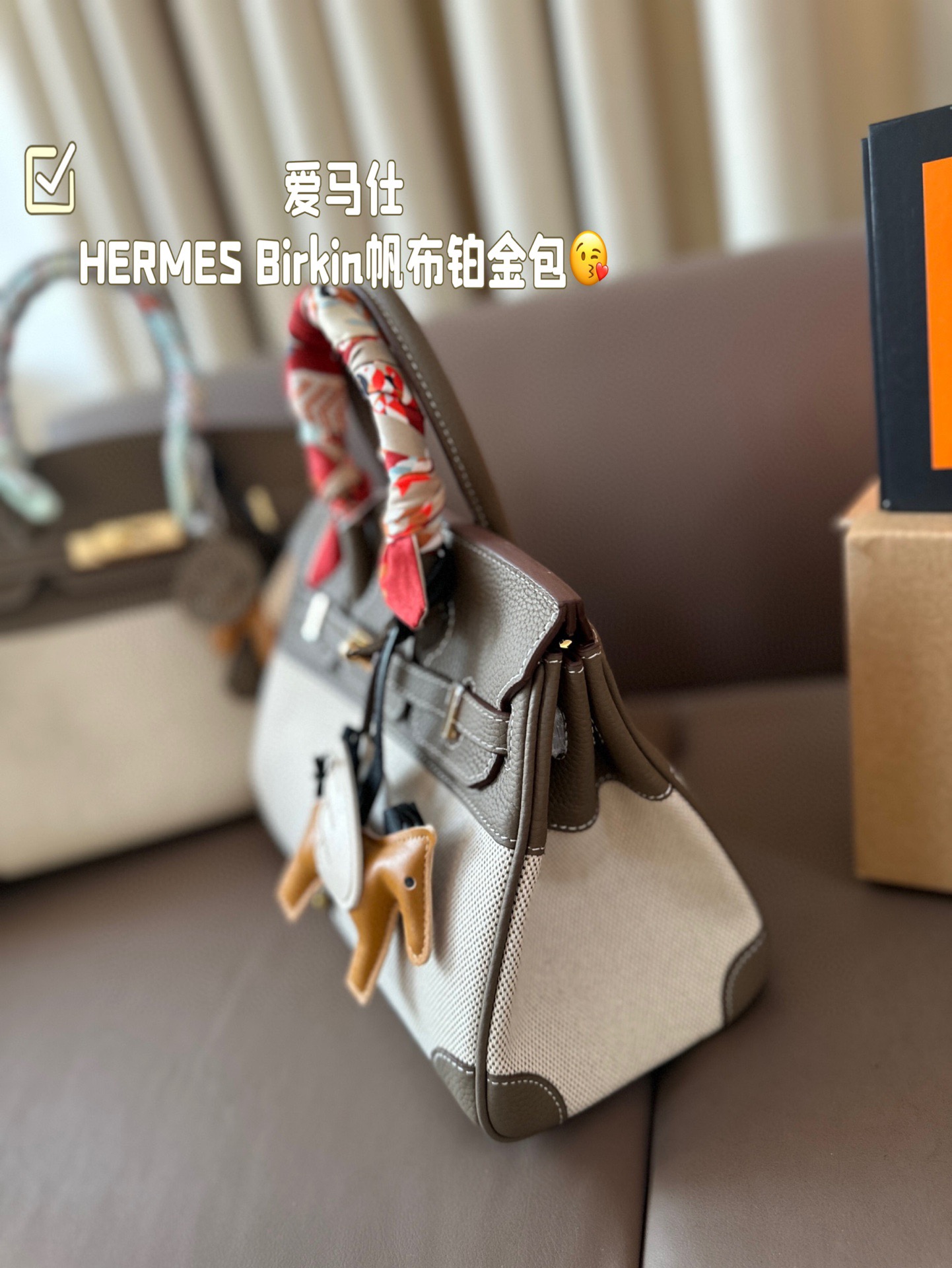 HERMES Birkin Canvas platinum bag