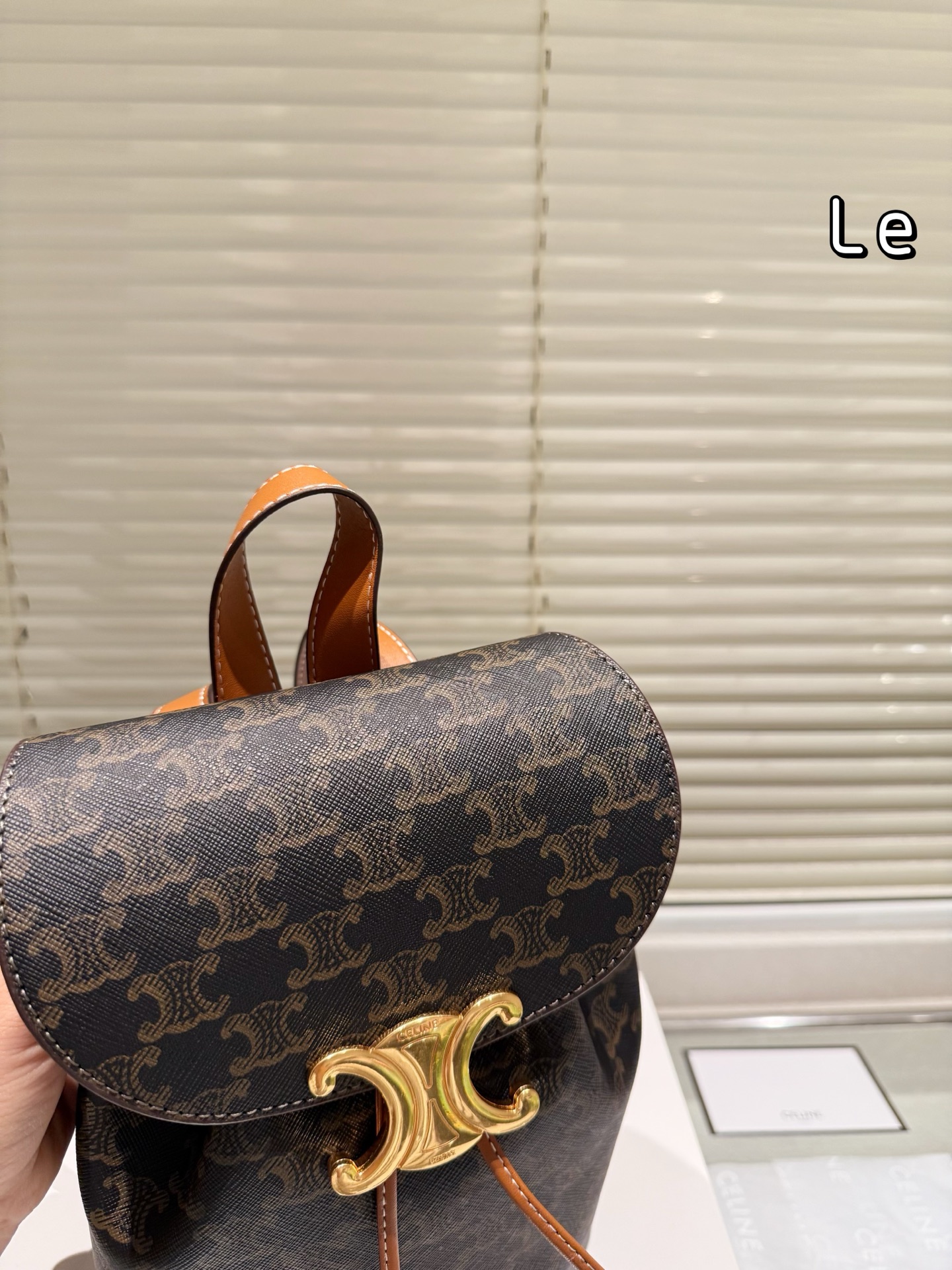 New Celine reading backpack