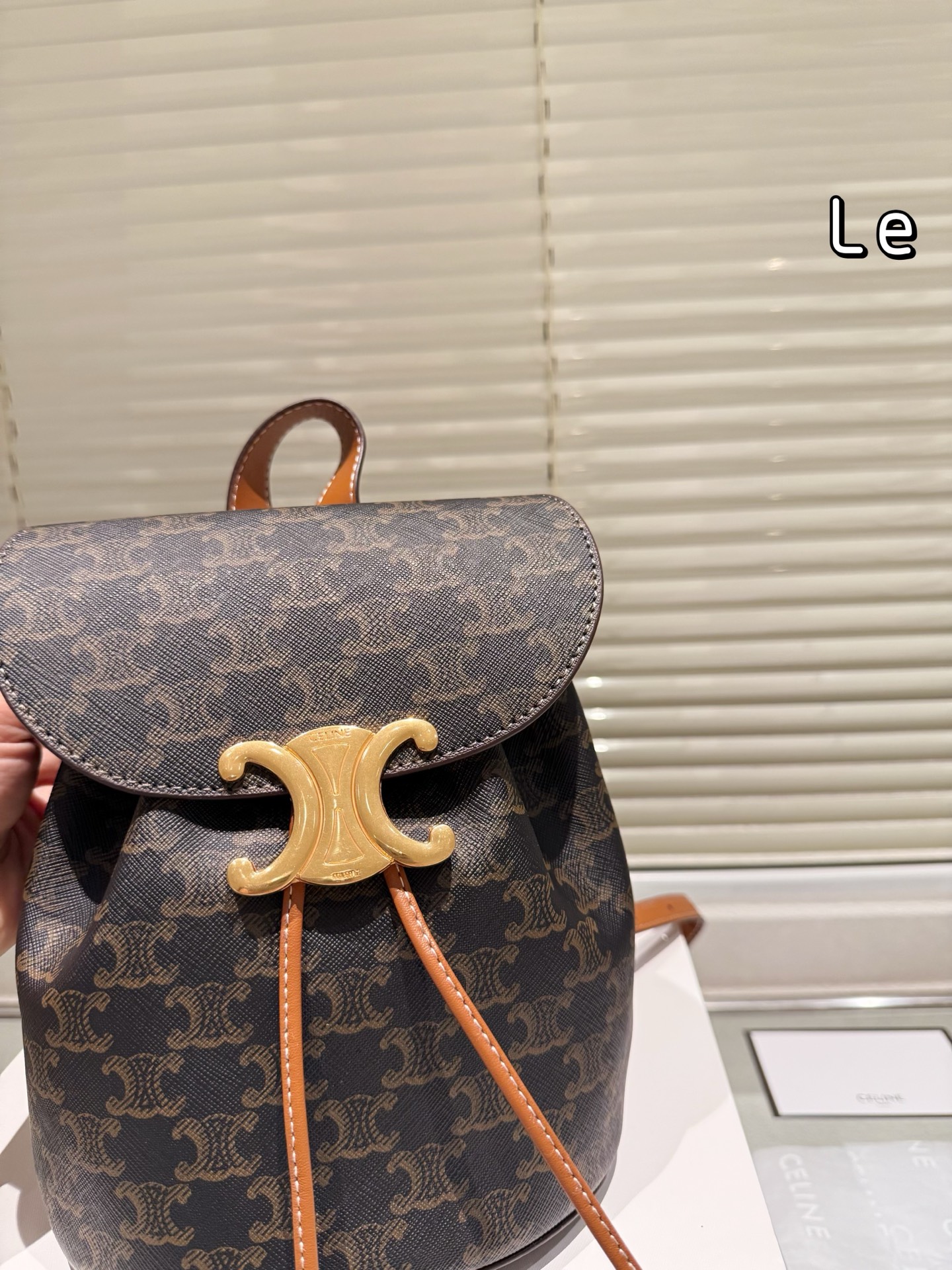 New Celine reading backpack