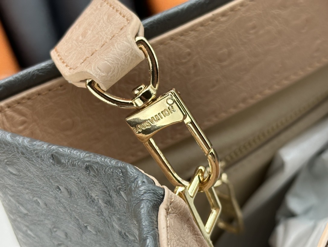 LV shoer maison fondee en 1854 handbag