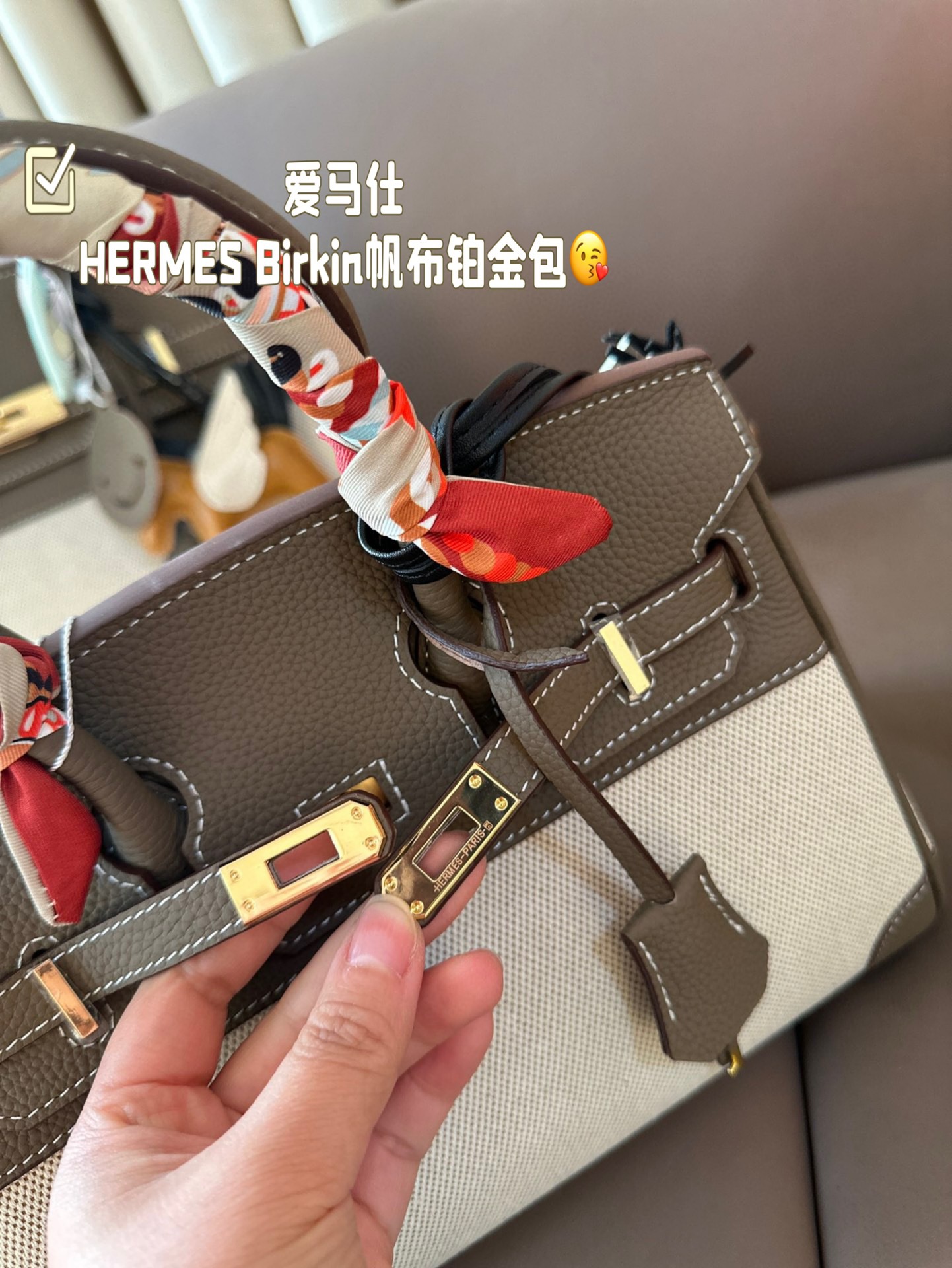 HERMES Birkin Canvas platinum bag