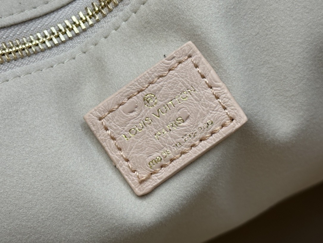 LV shoer maison fondee en 1854 handbag