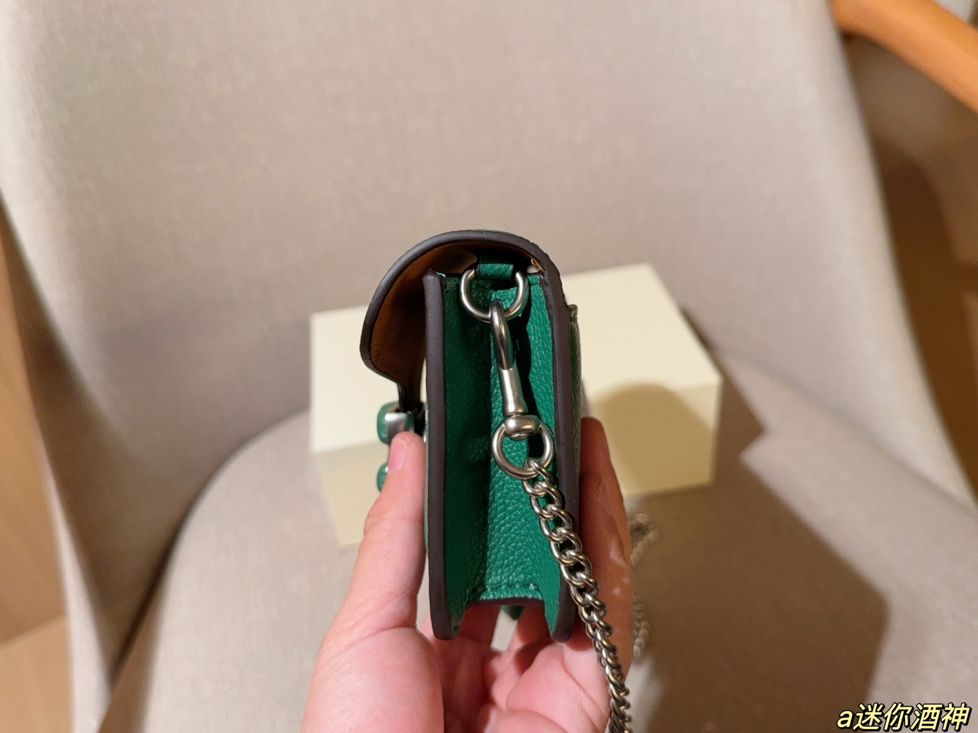 Coach Mini Tabby Chain Bag Dionysus Bag