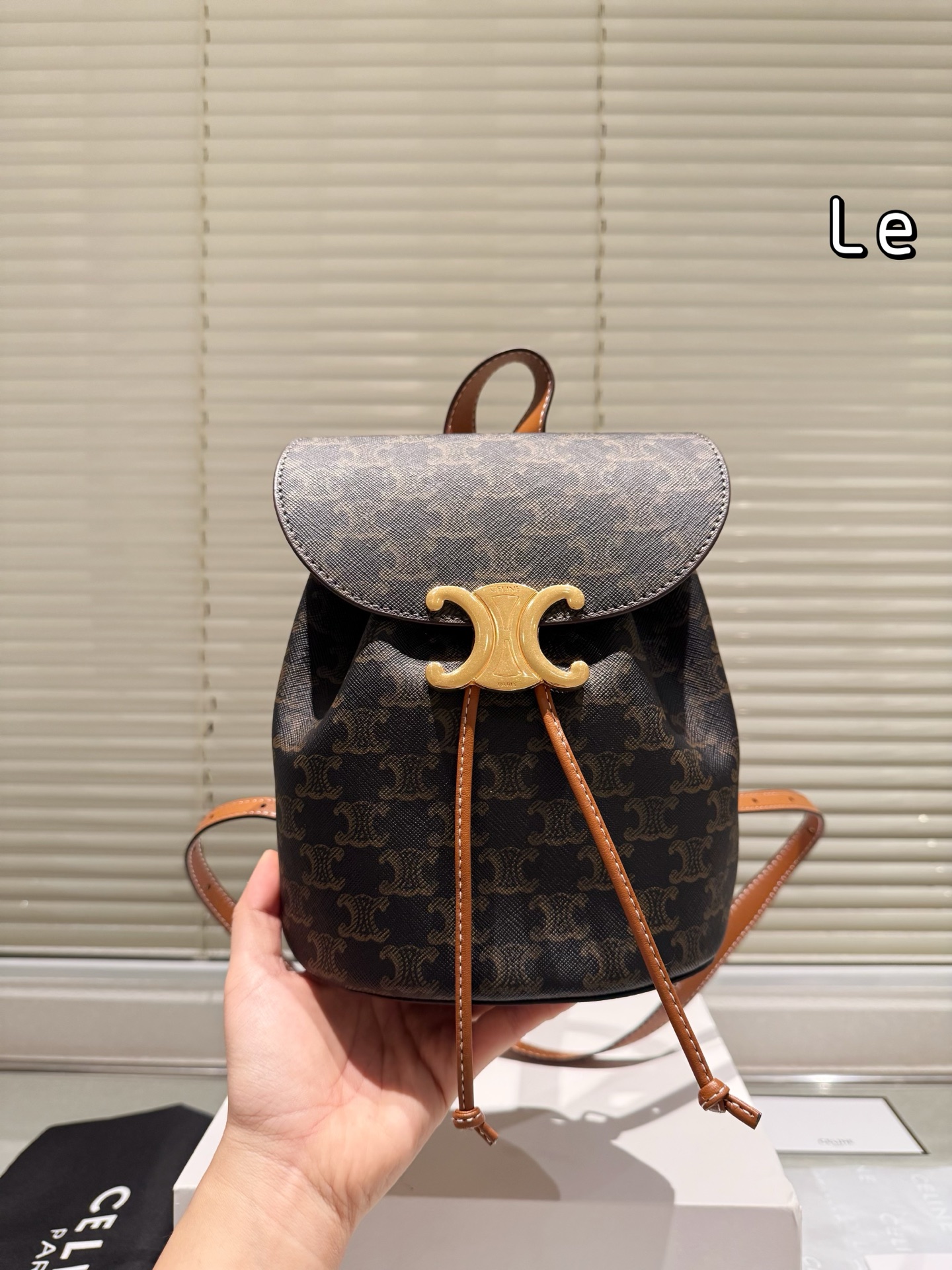 New Celine reading backpack