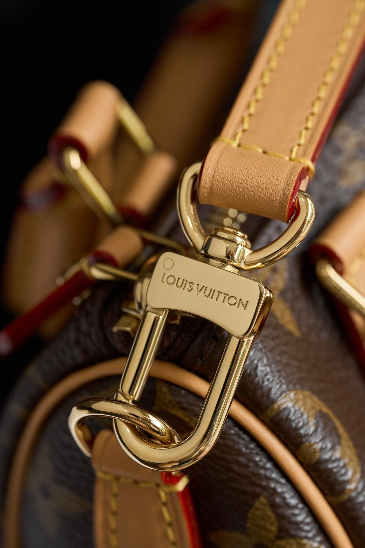 Top version LV nano speedy monogram shoulder bag