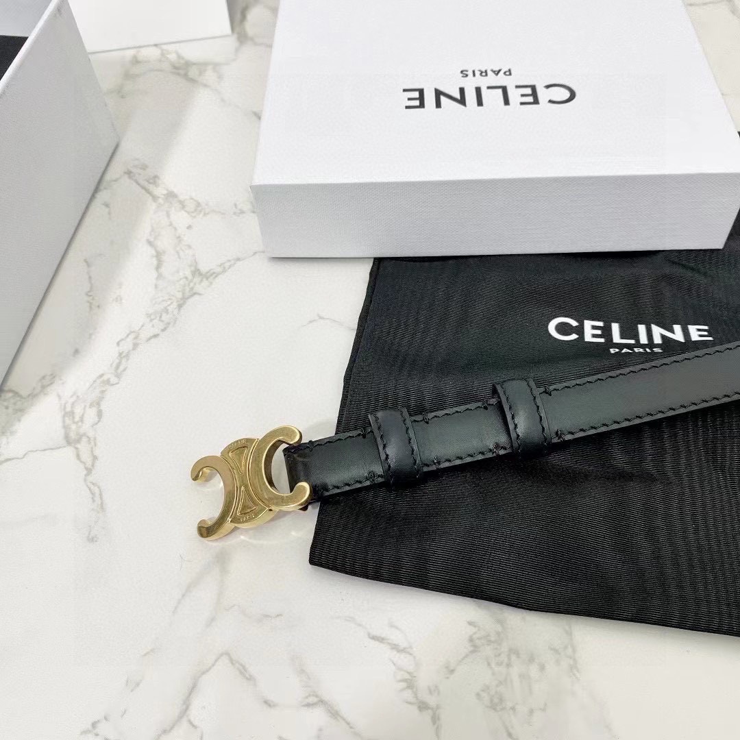 Celine double-sided belt