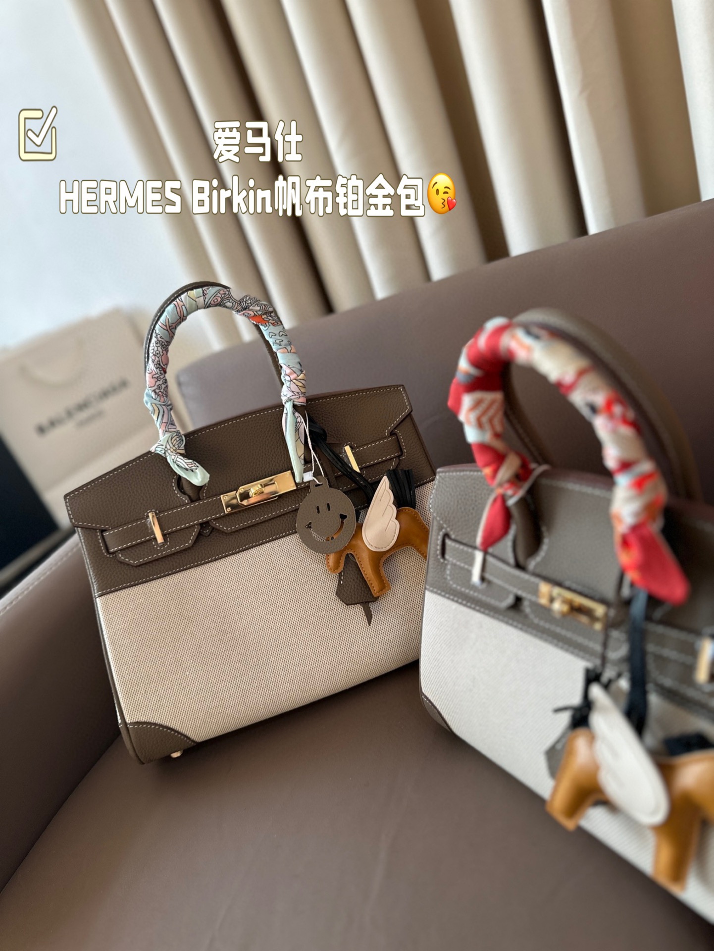 HERMES Birkin Canvas platinum bag