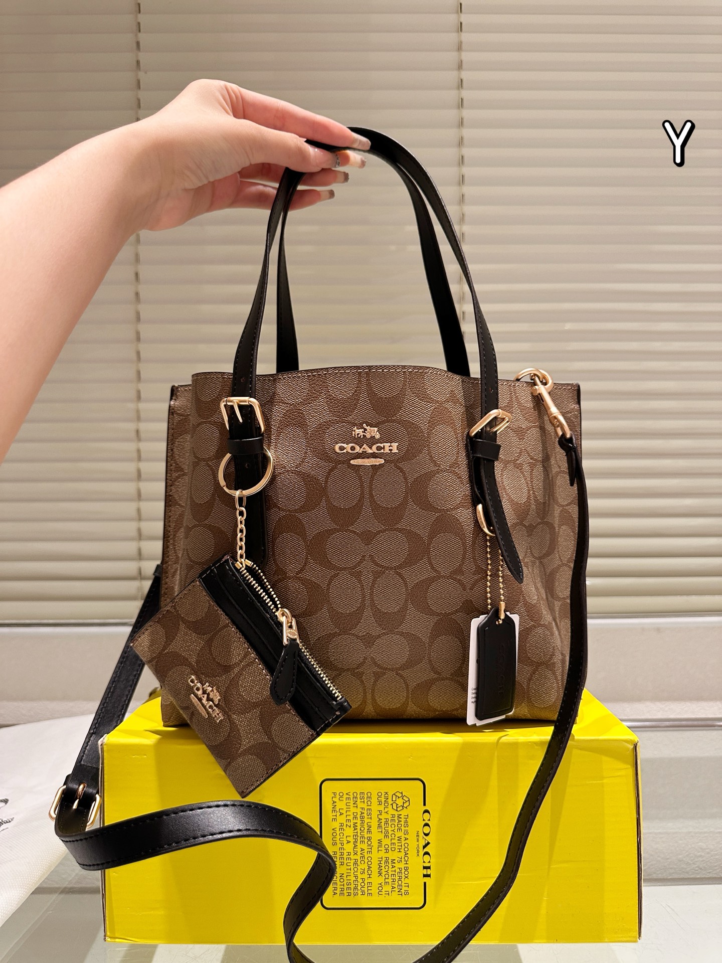 Coach mollie25 tote handbag