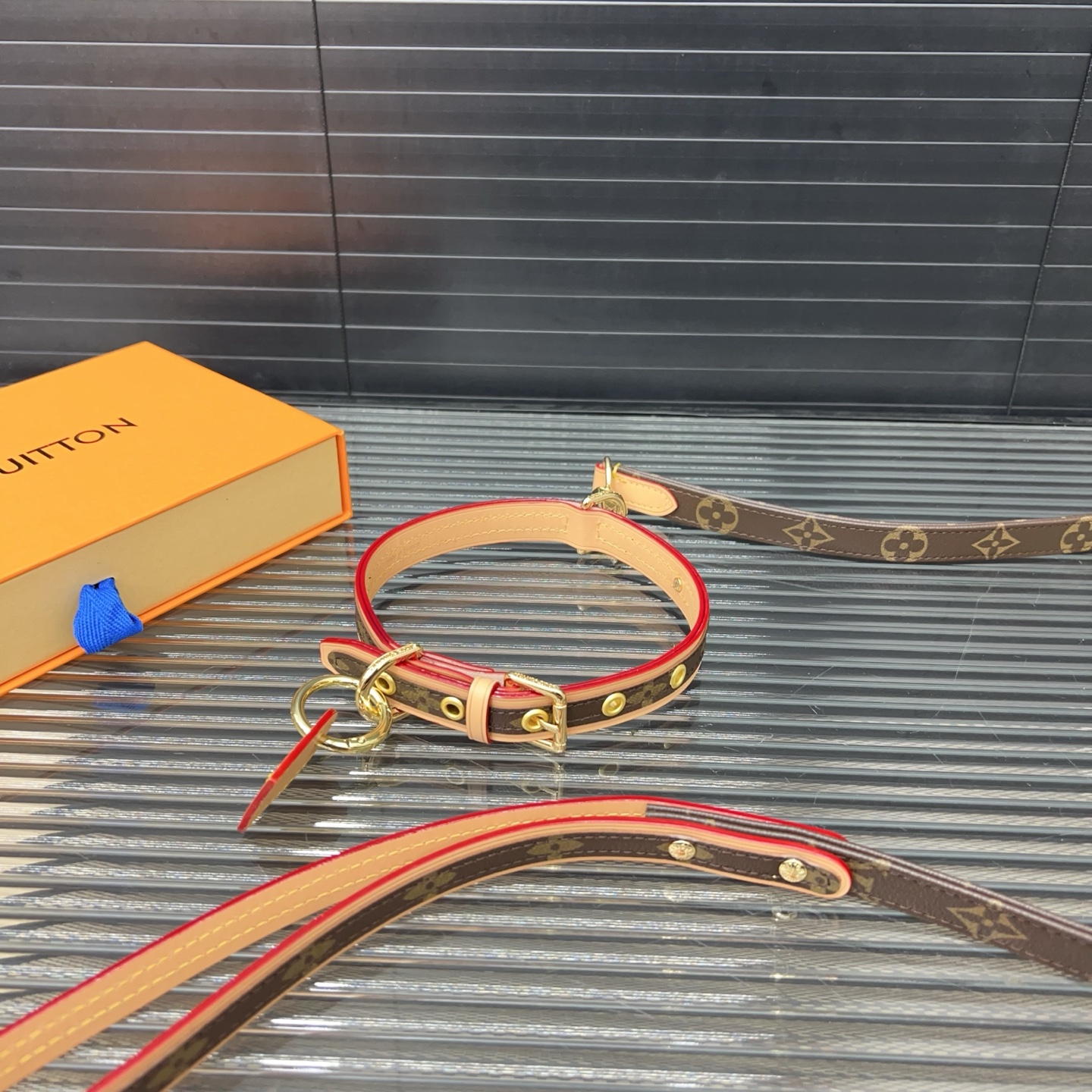 Louis Vuitton Baxter pet leash