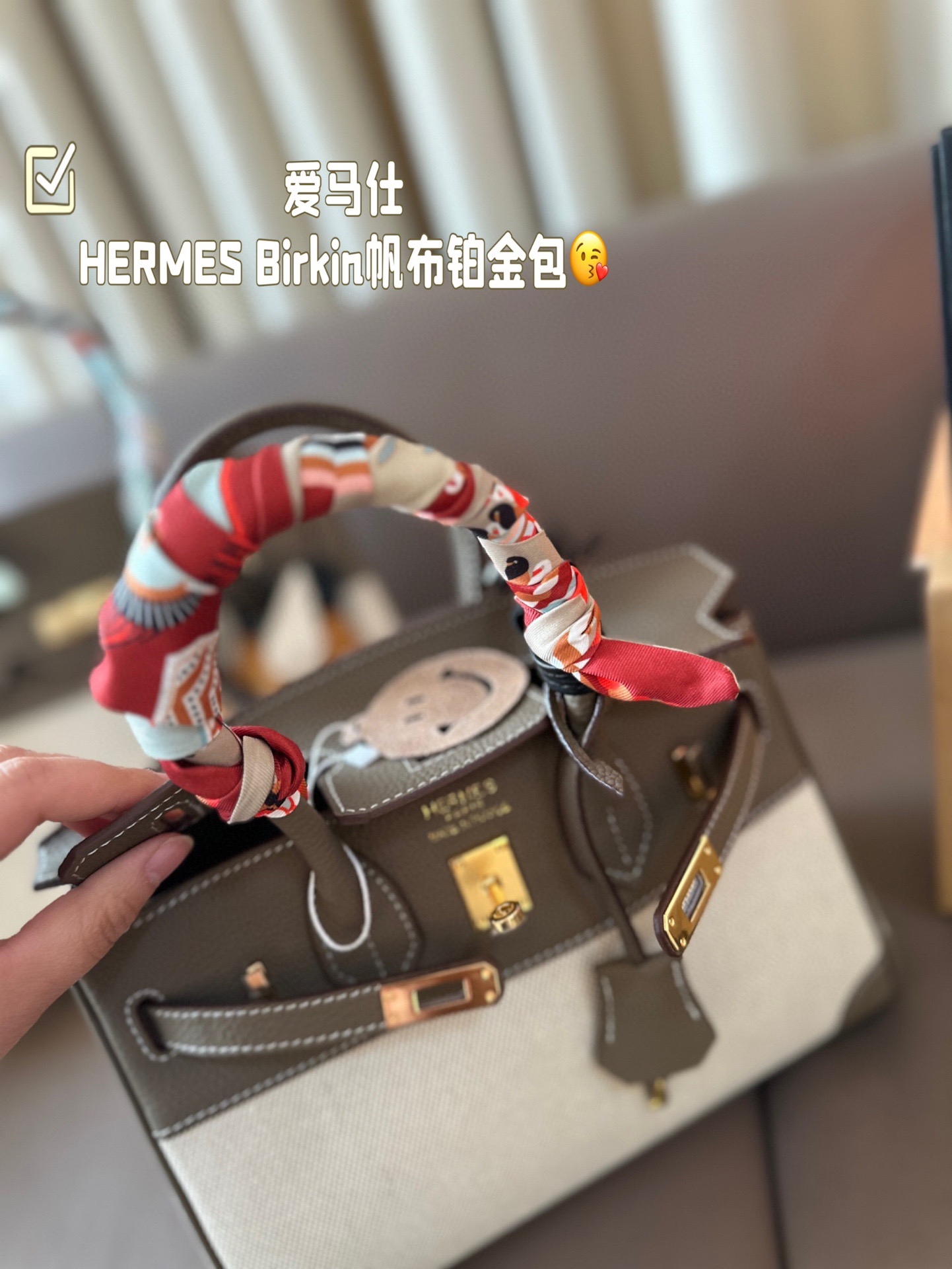 HERMES Birkin Canvas platinum bag