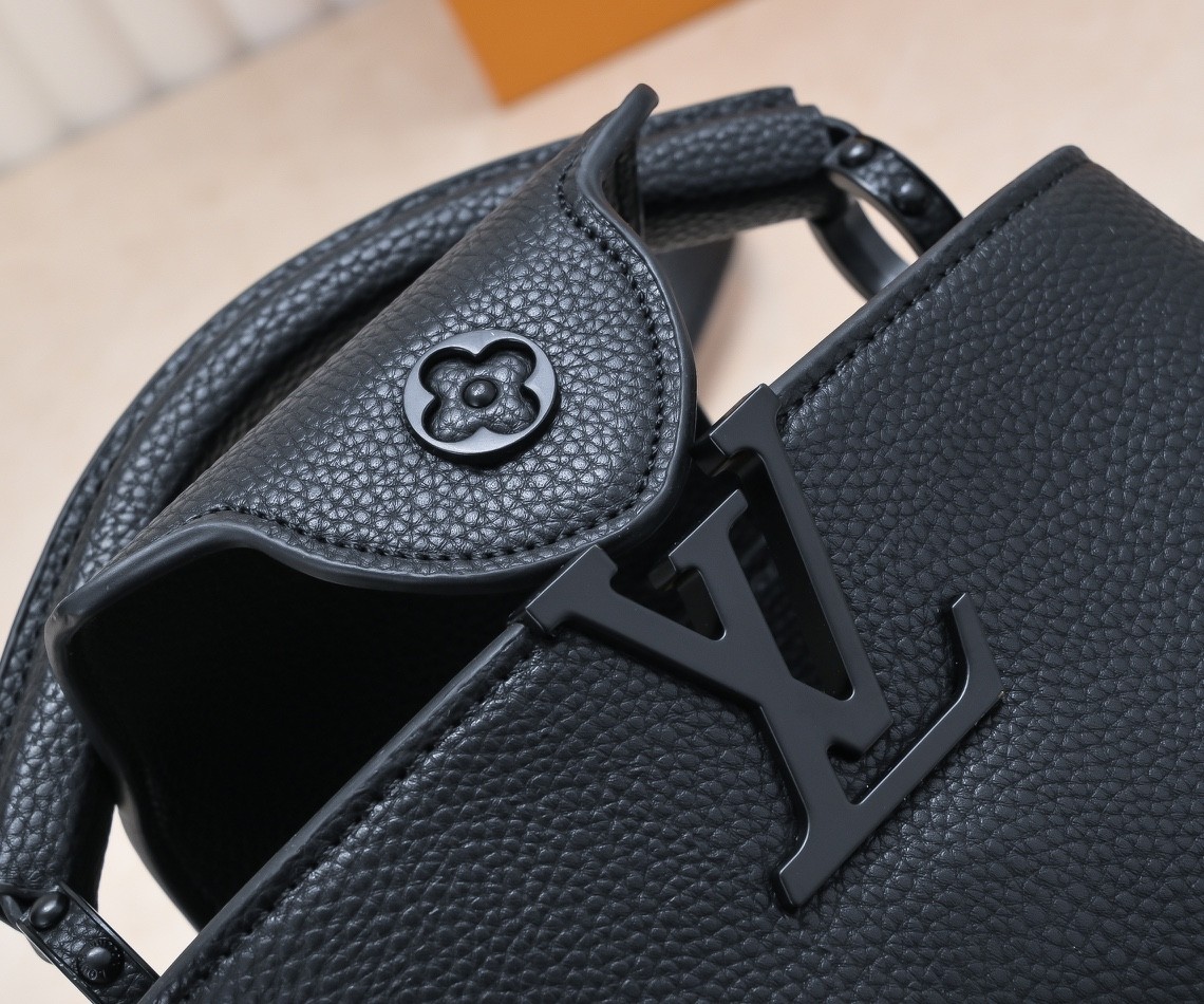LV CAPUCINES EAST WEST handbag