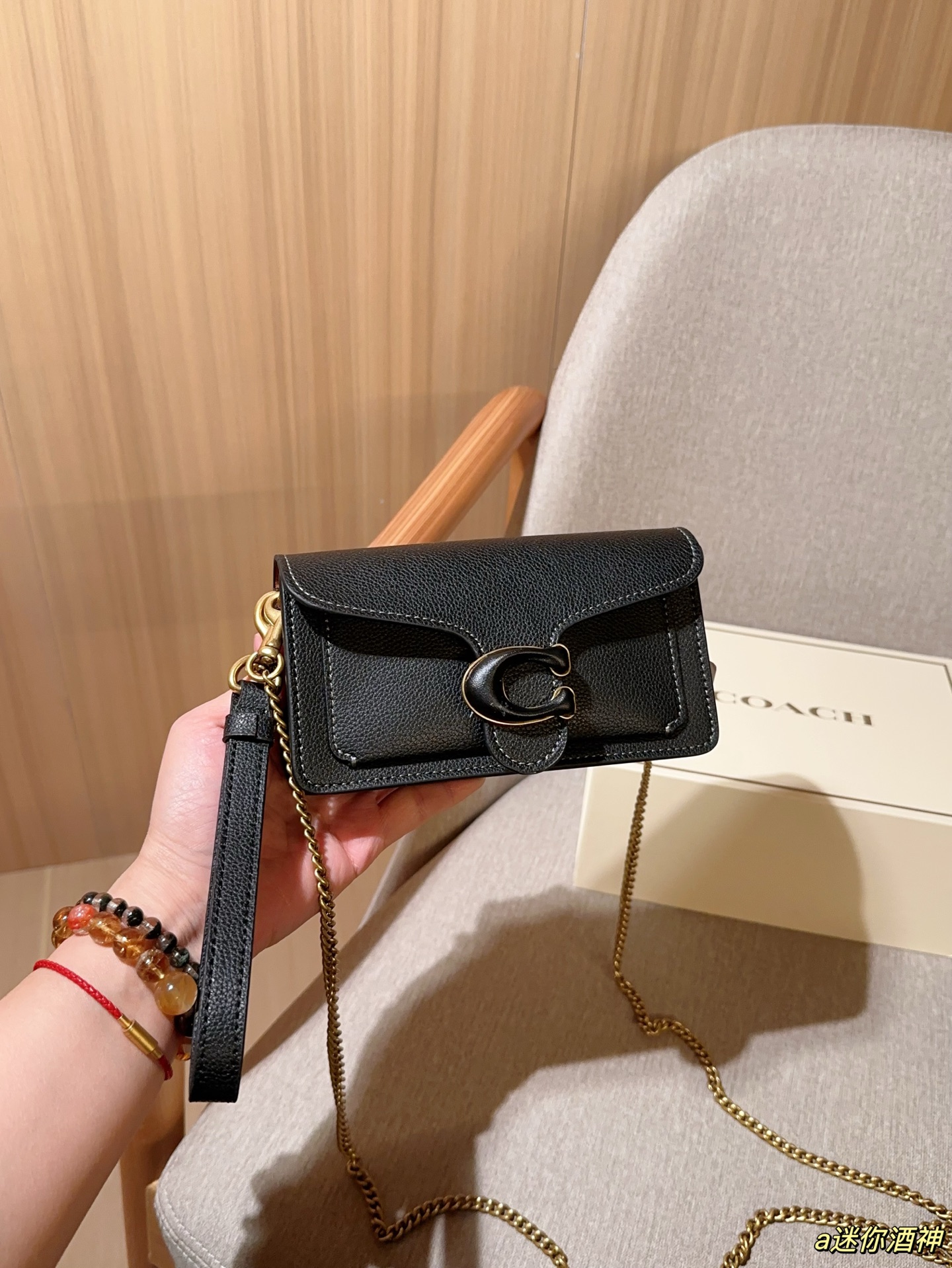 Coach Mini Tabby Chain Bag Dionysus Bag