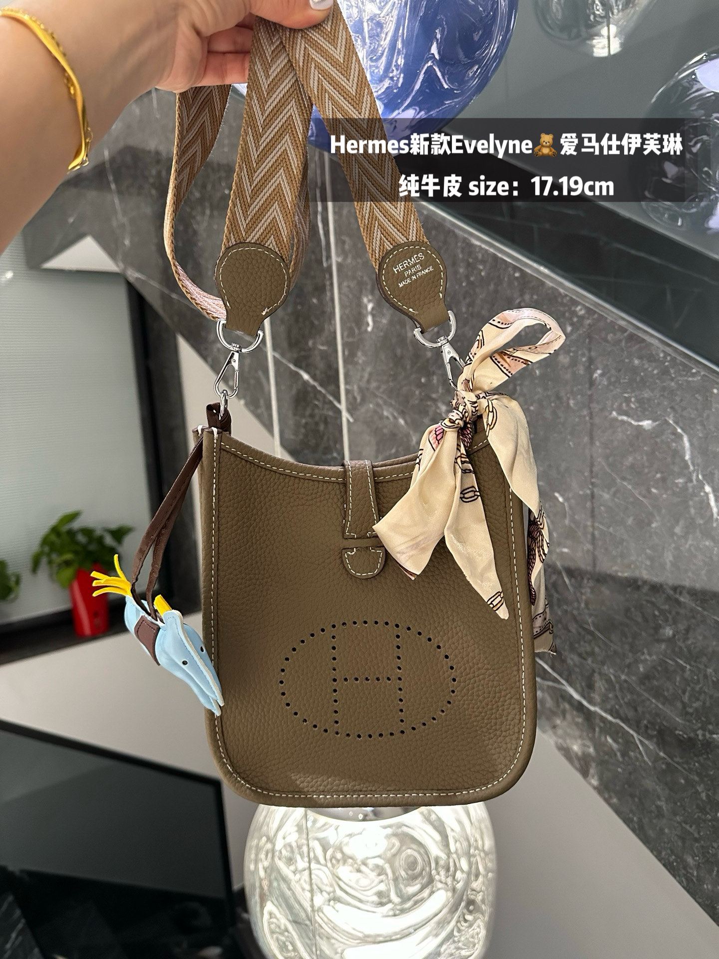Hermes Evelyn bag