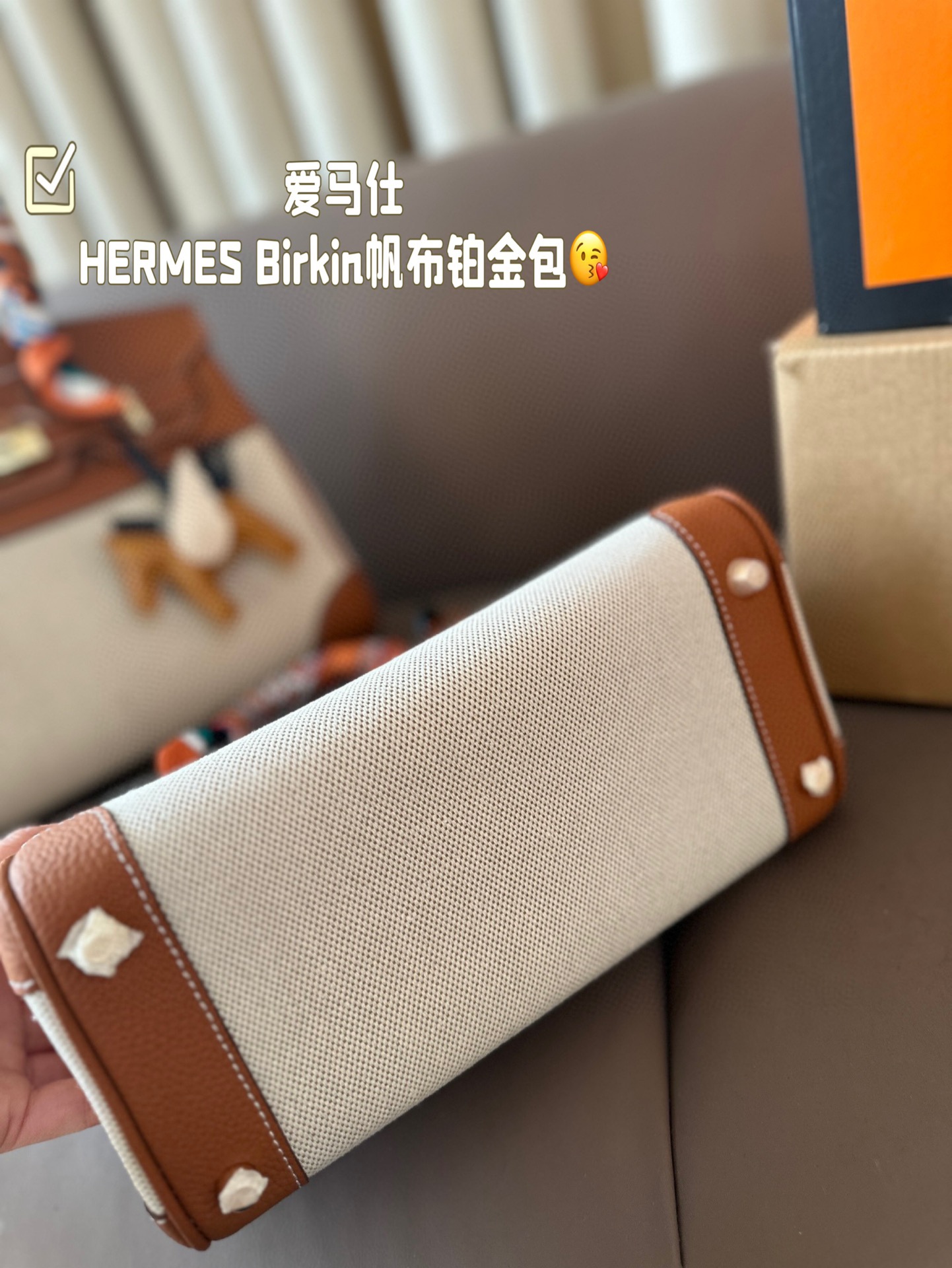 HERMES Birkin Canvas platinum bag