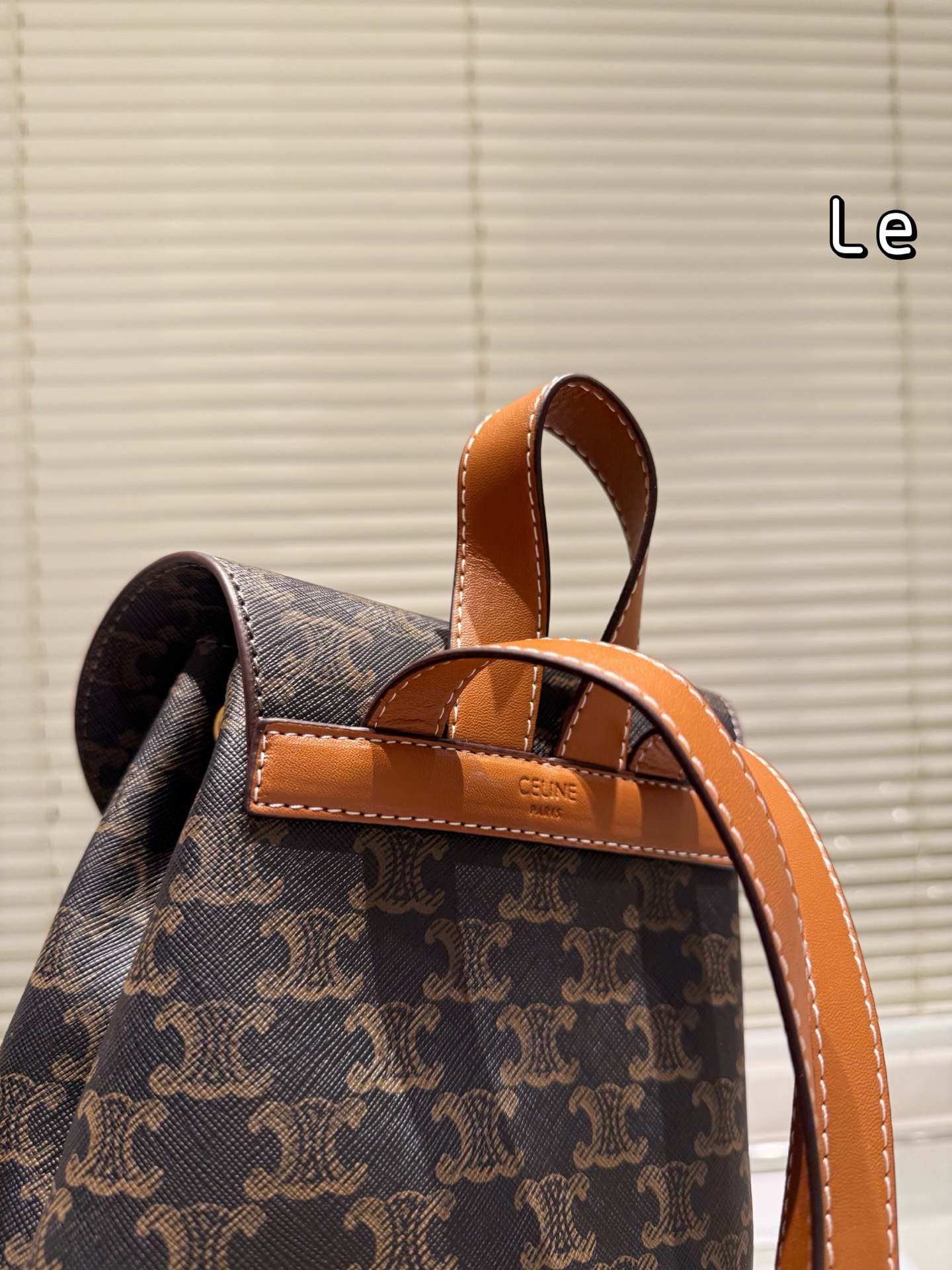 New Celine reading backpack