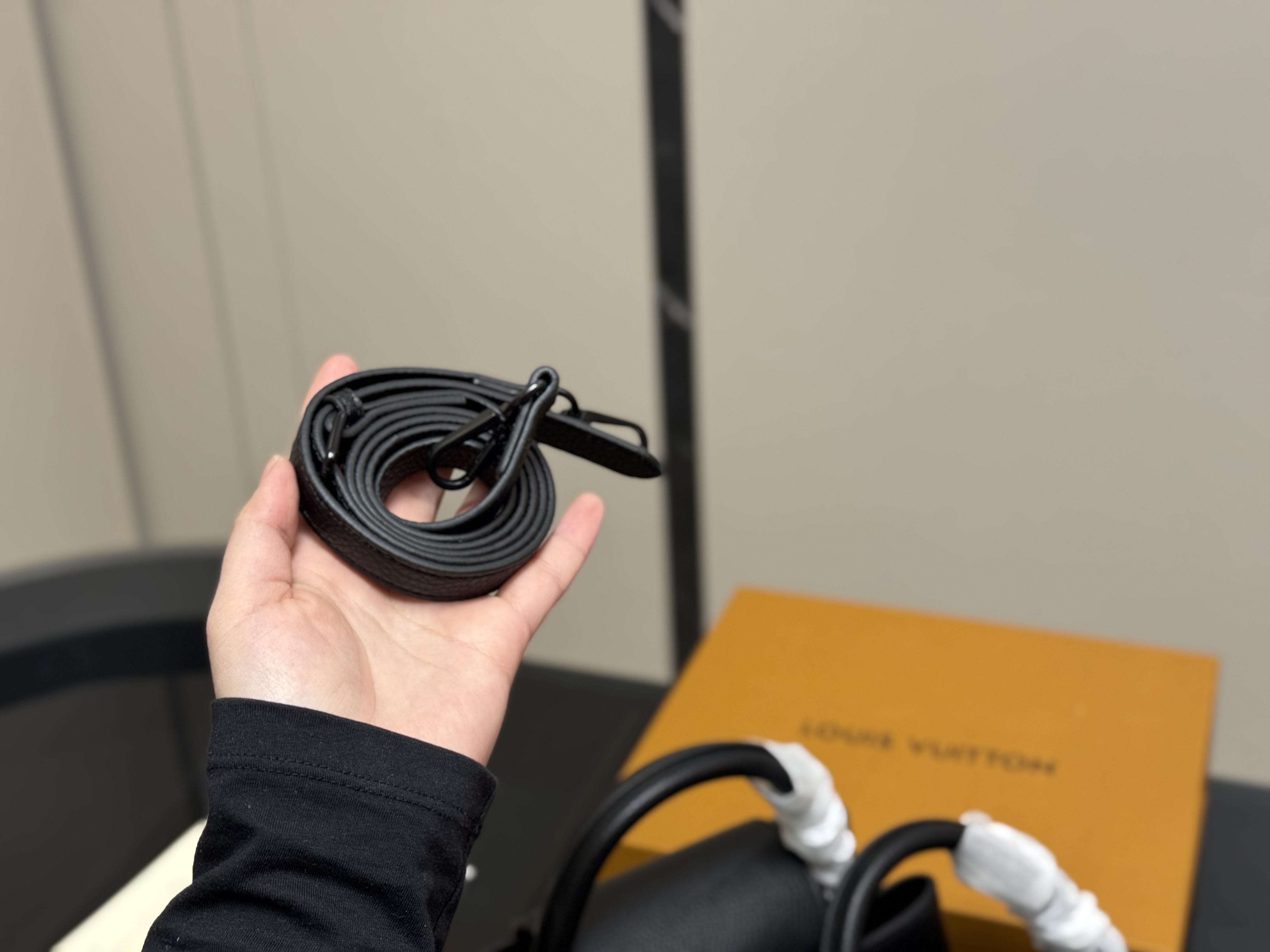 LV Capucines handbag Taurillon Leather BAG