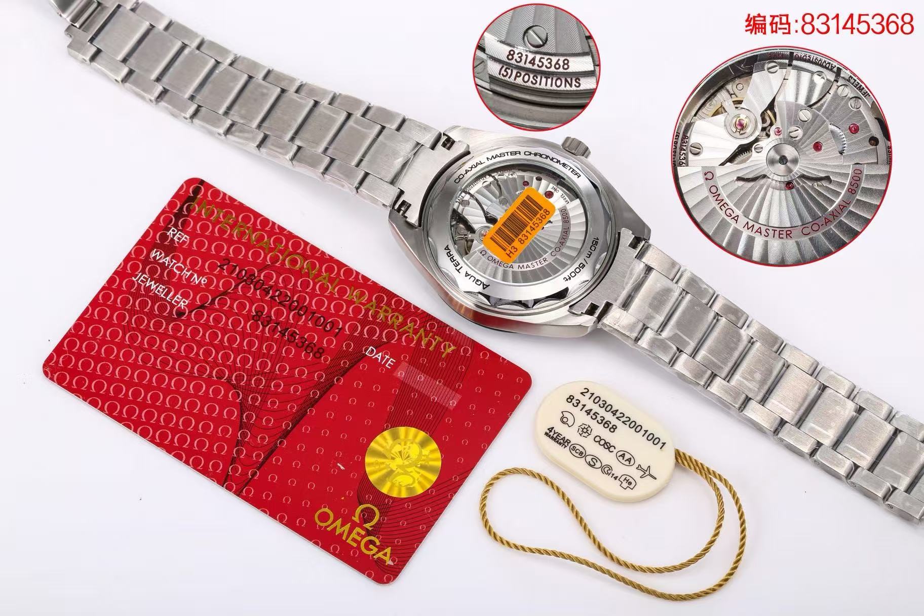 Omega Hameau Series Aqua Terra Watch