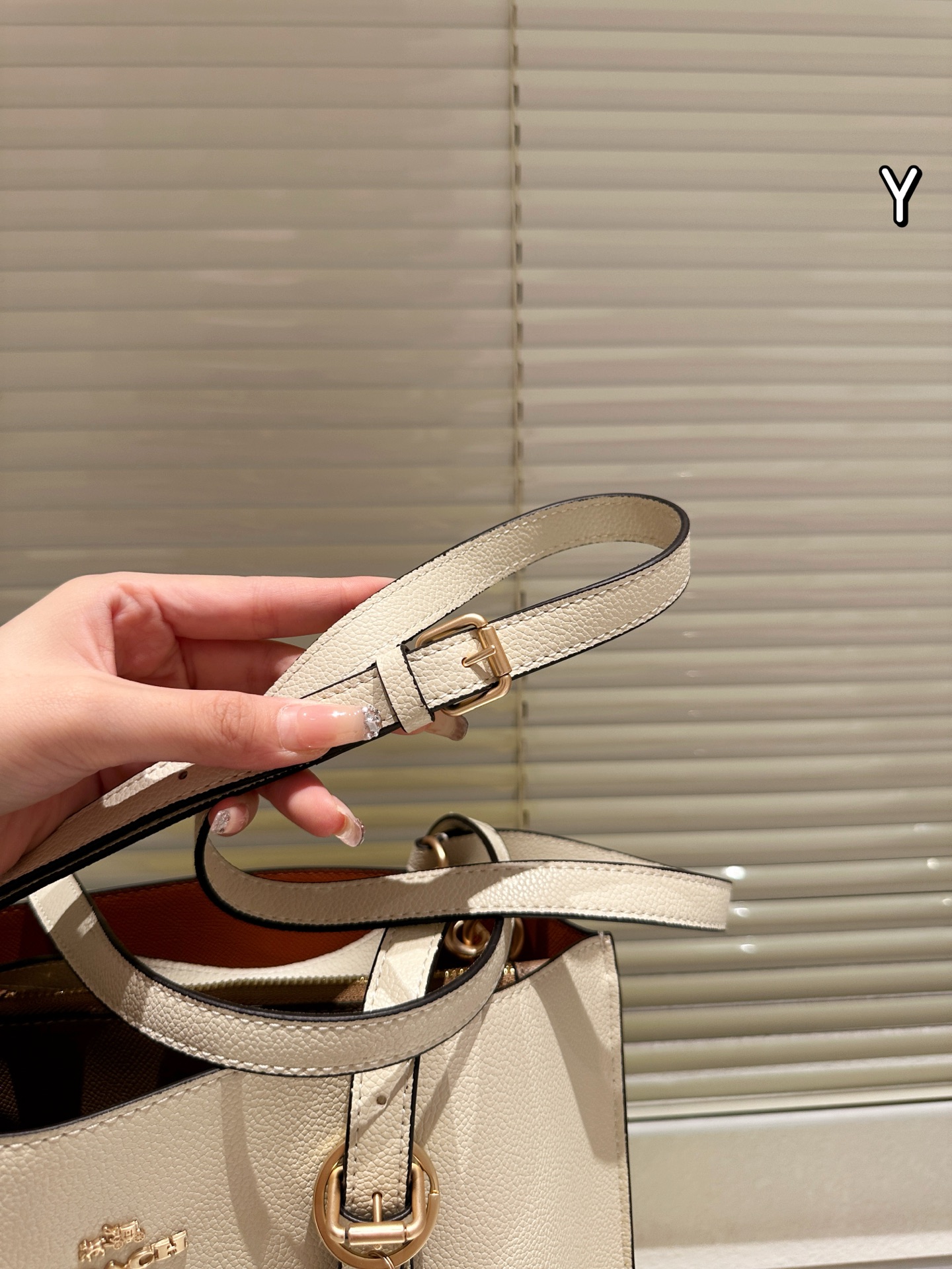 Coach mollie25 tote handbag