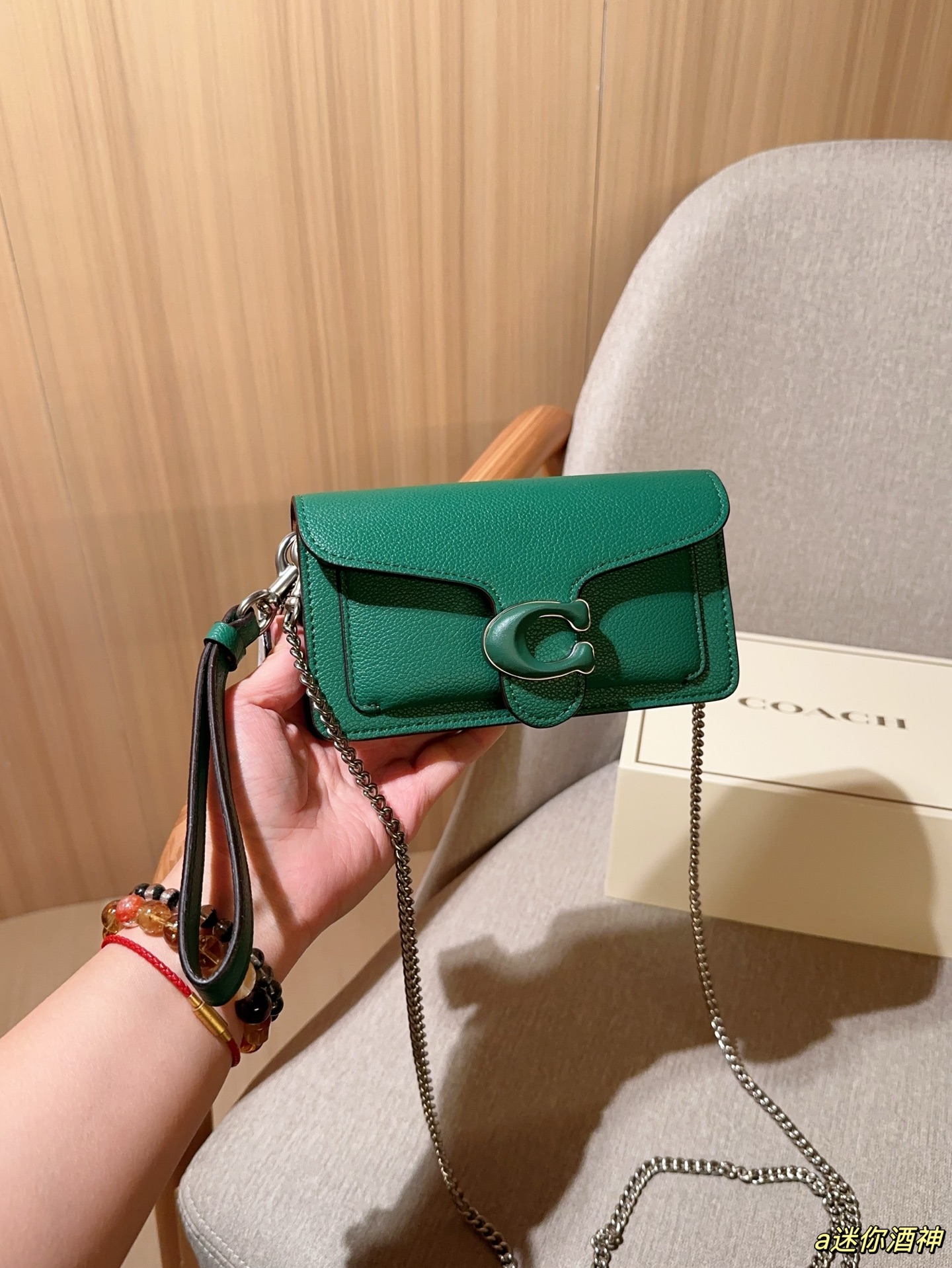 Coach Mini Tabby Chain Bag Dionysus Bag