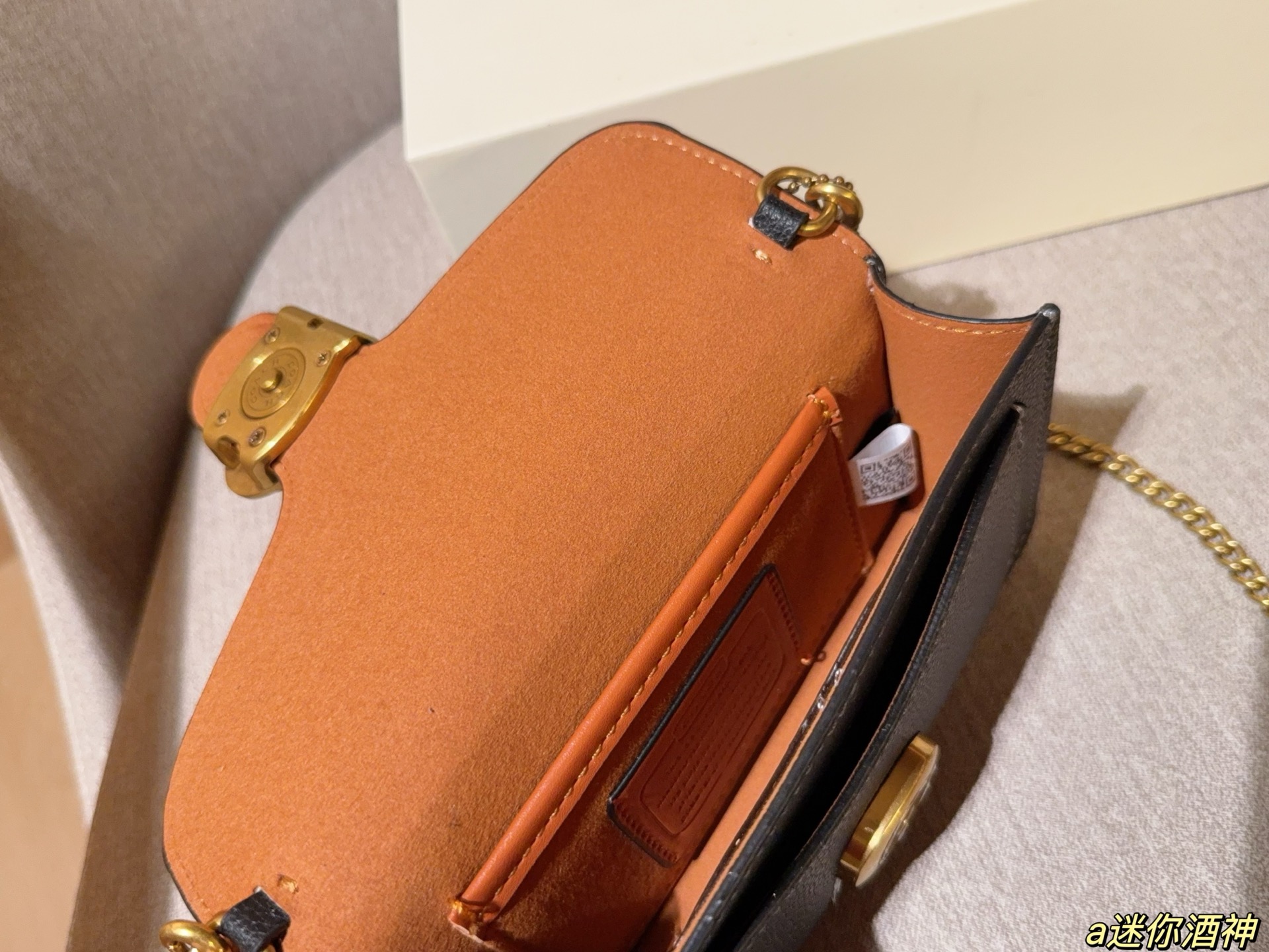 Coach Mini Tabby Chain Bag Dionysus Bag