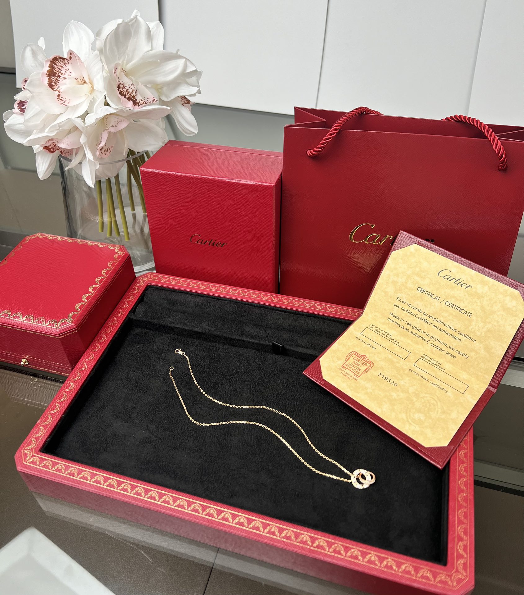 Cartier full of diamonds necklace