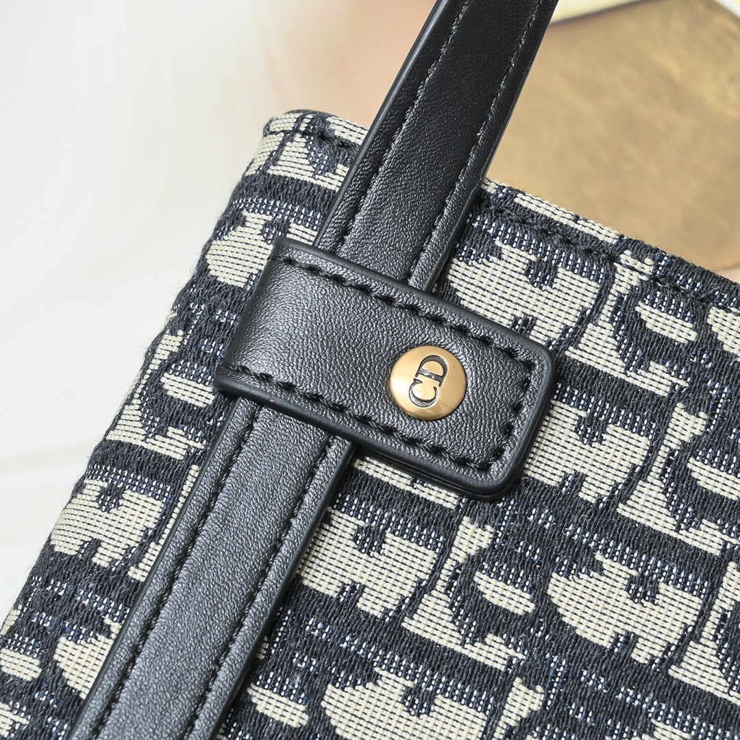 Dior saddle shoulder bag