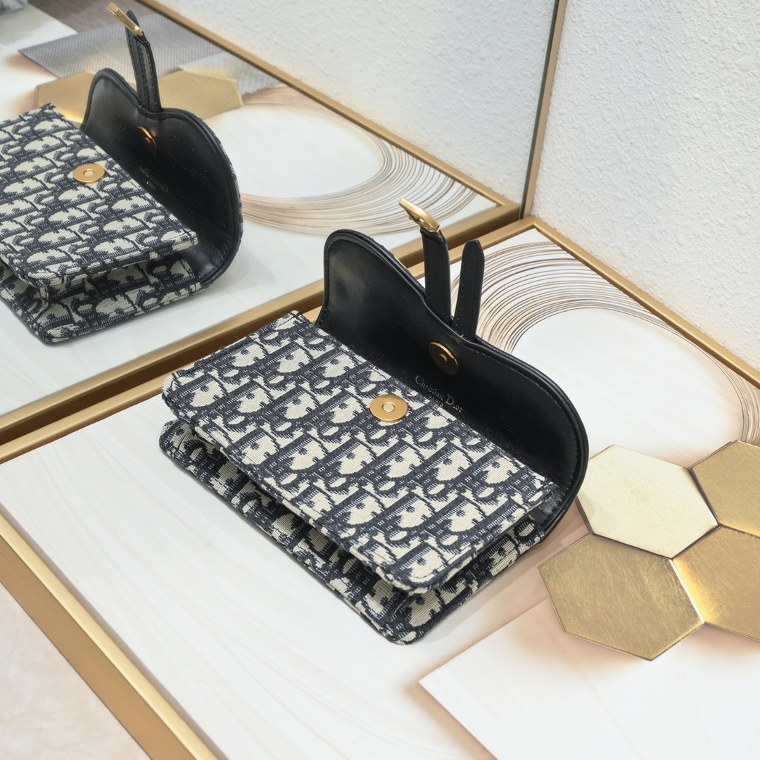 Dior saddle shoulder bag