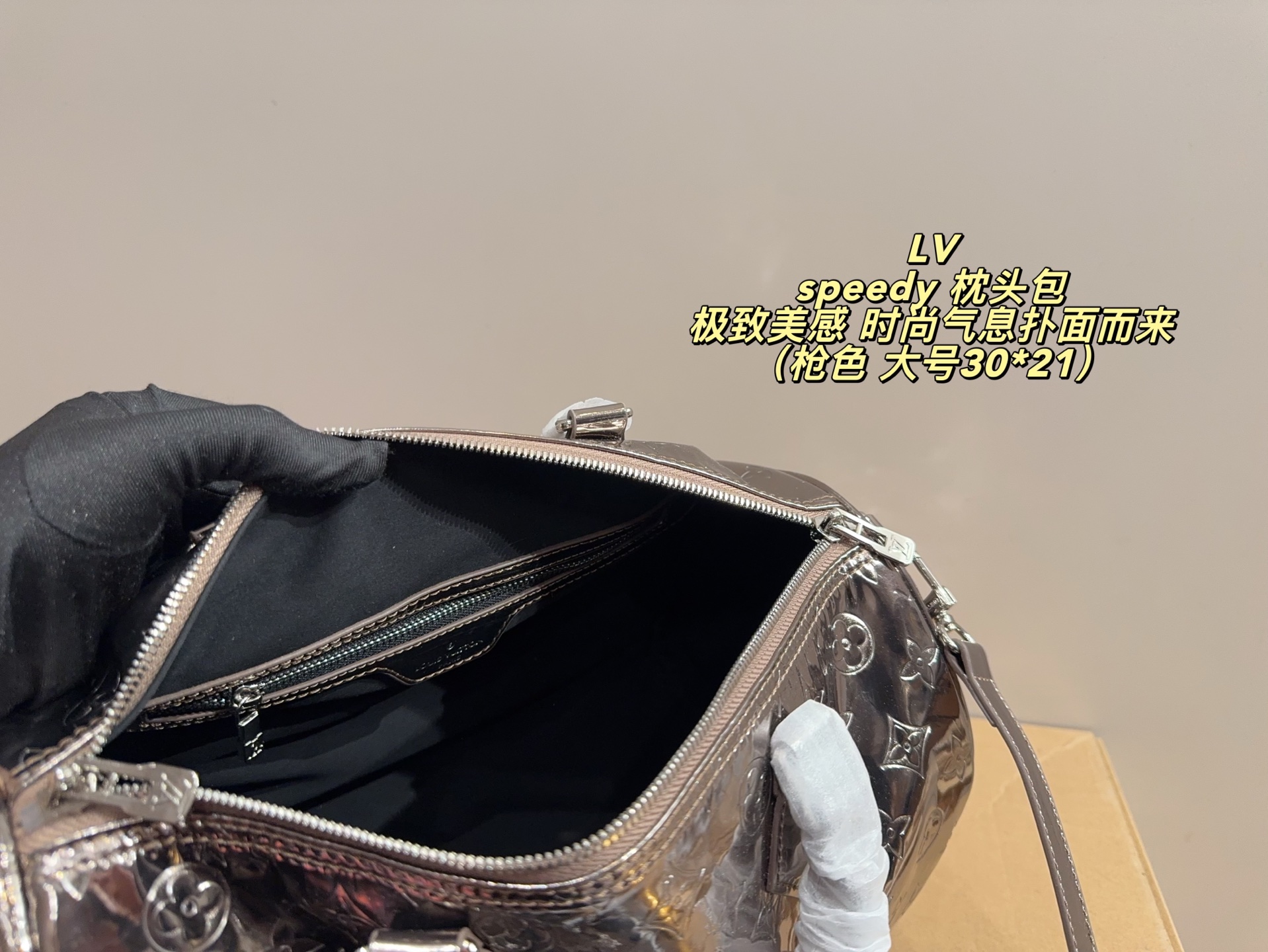 LV Speedy Pillow Bag