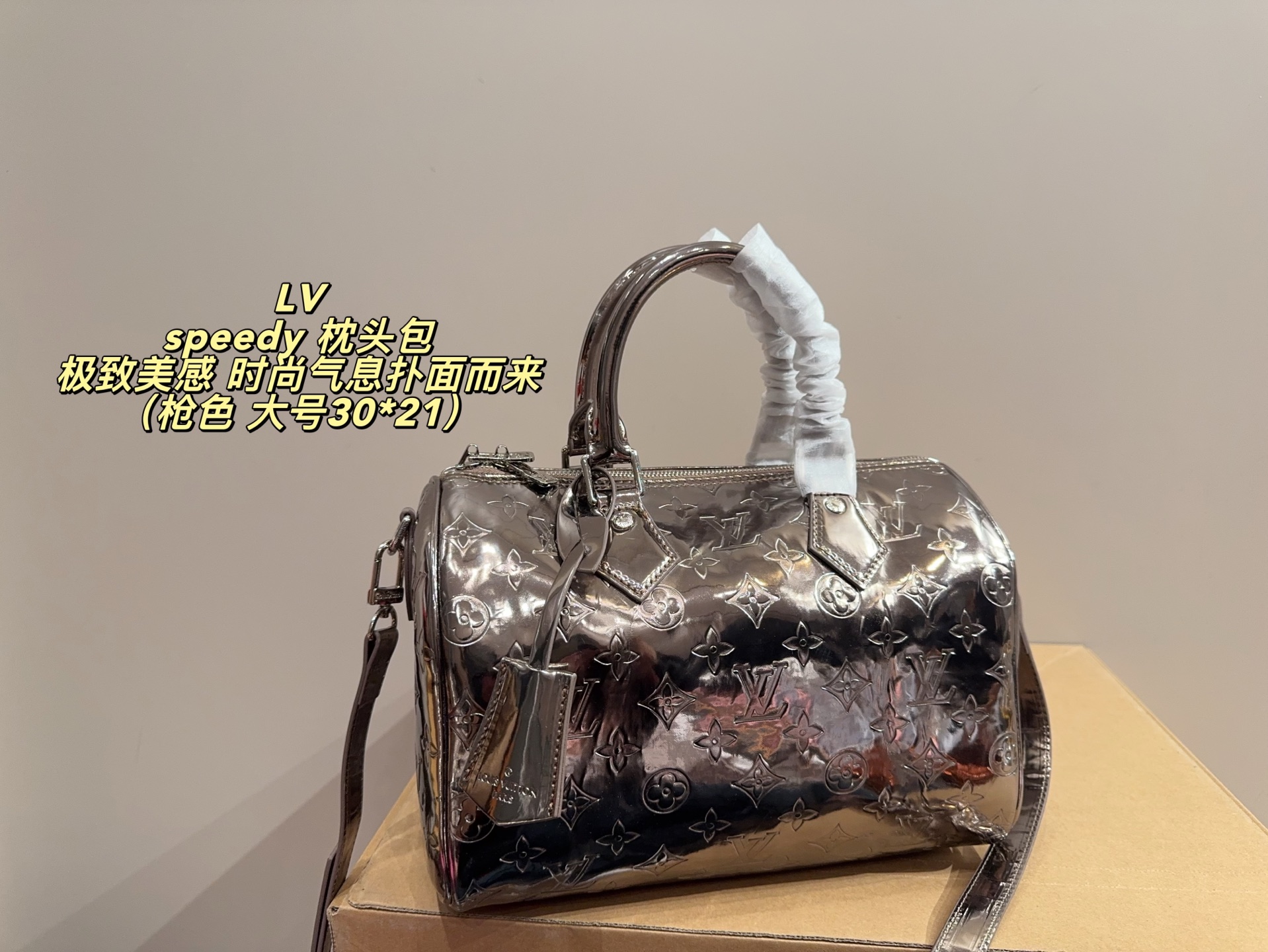 LV Speedy Pillow Bag