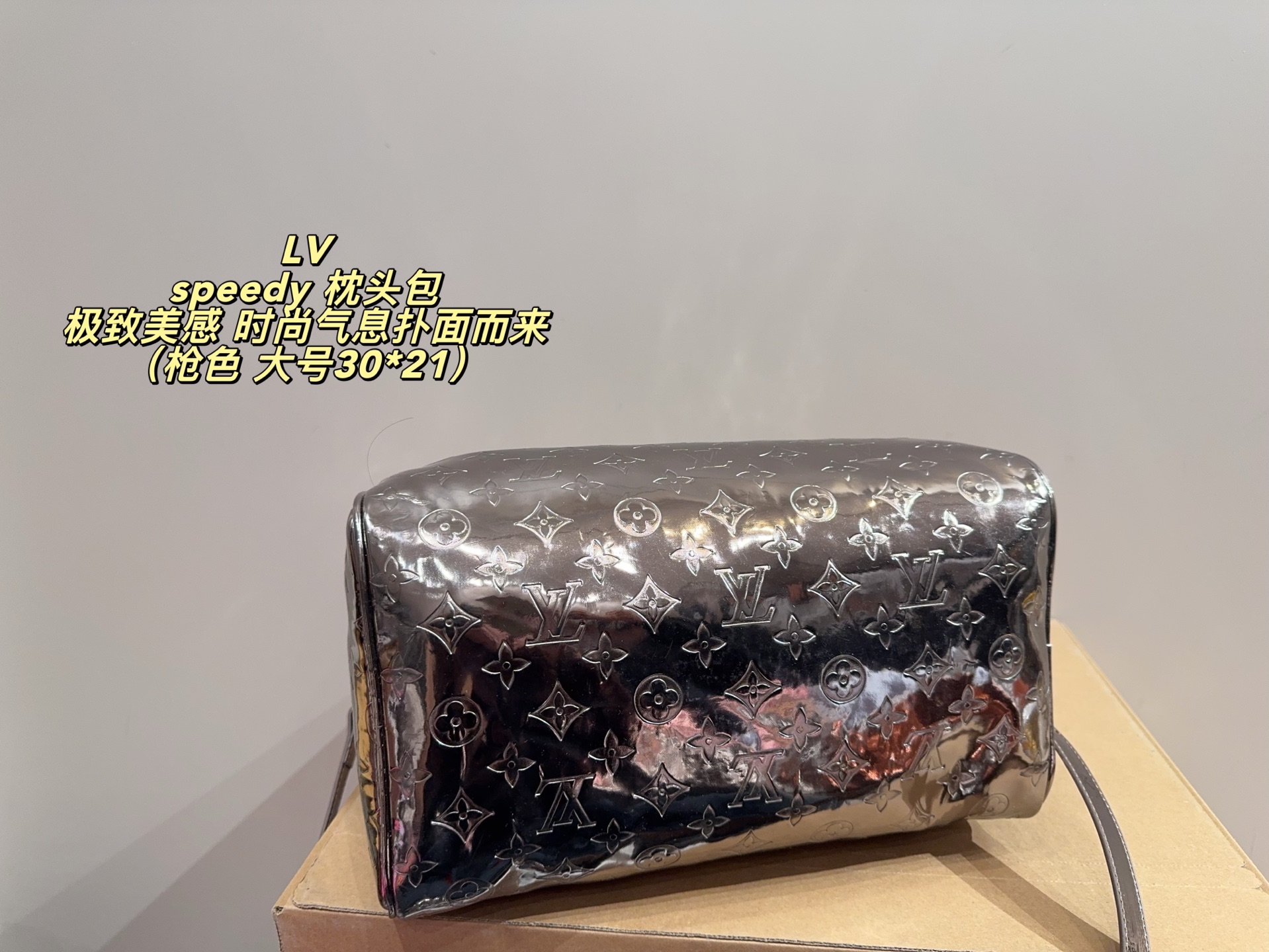 LV Speedy Pillow Bag