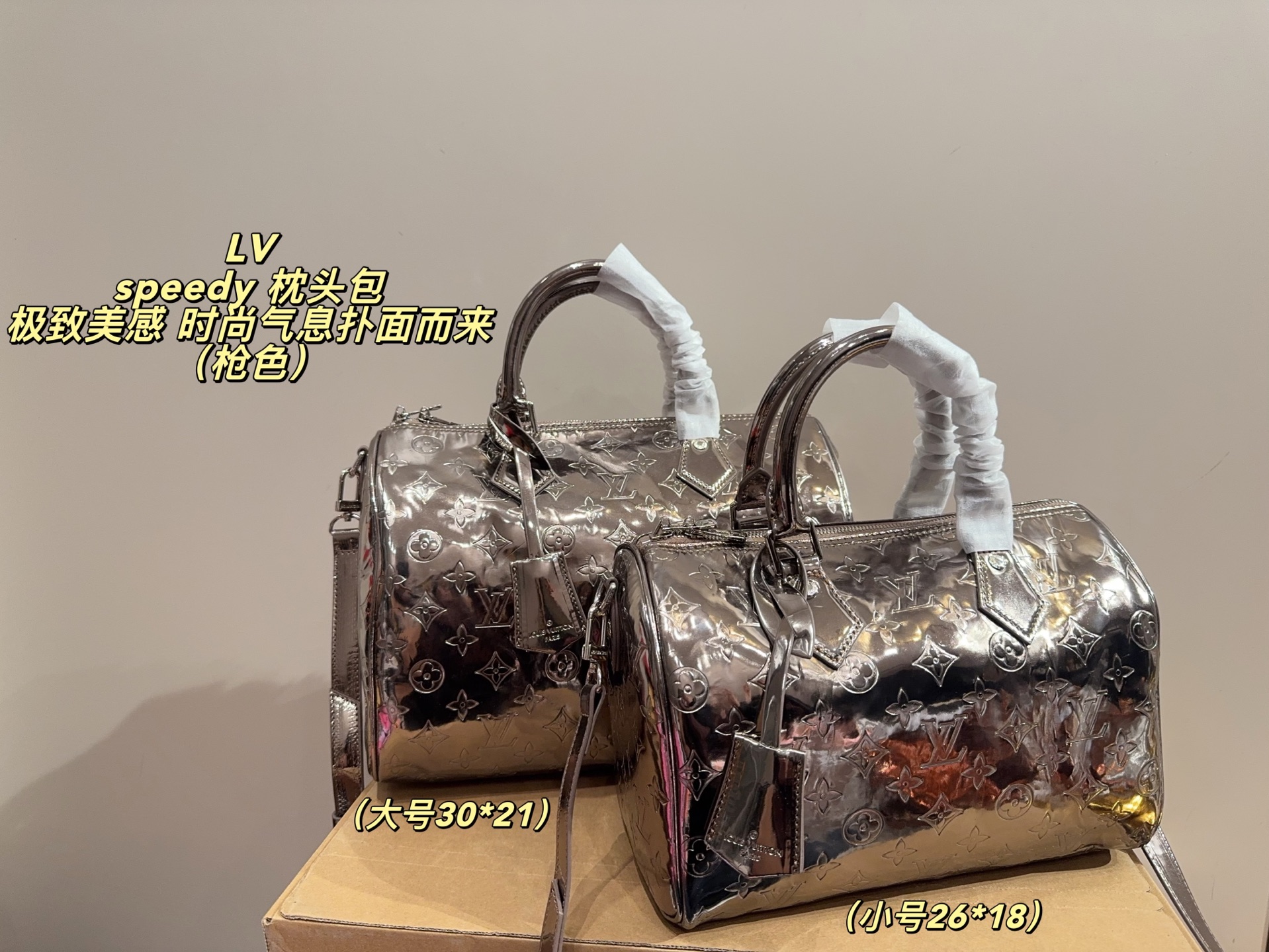 LV Speedy Pillow Bag